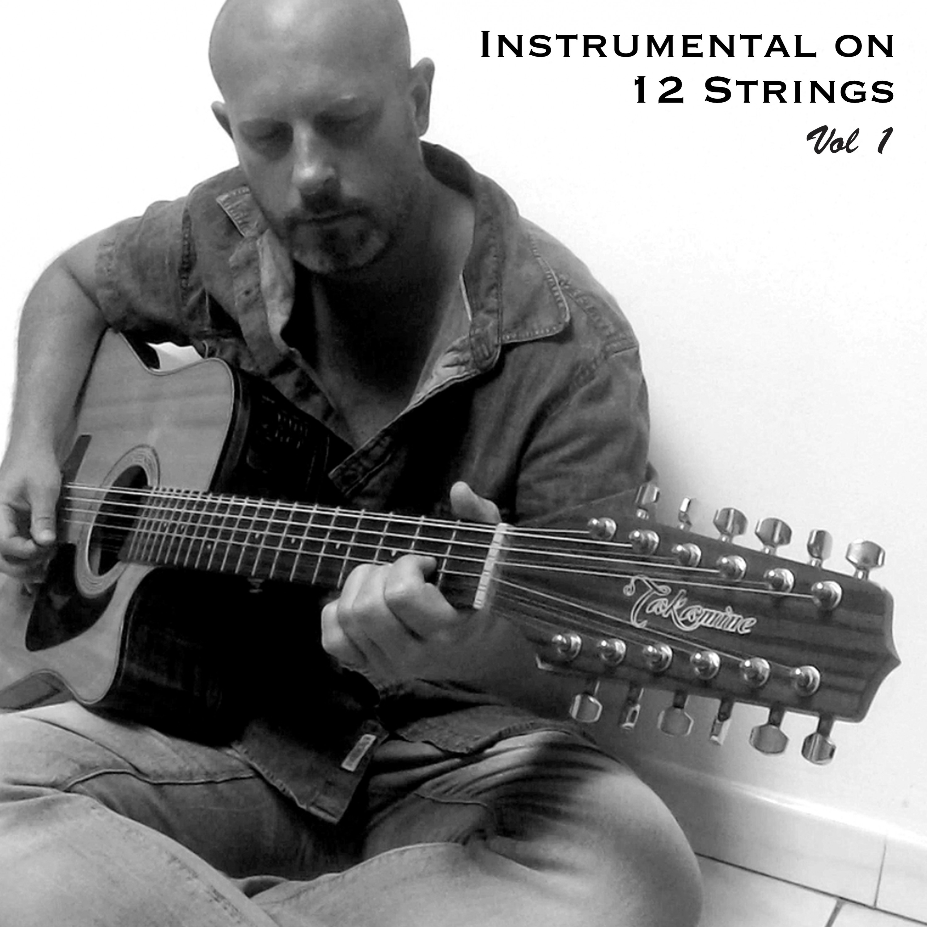 Instrumental on 12 Strings, Vol. 1