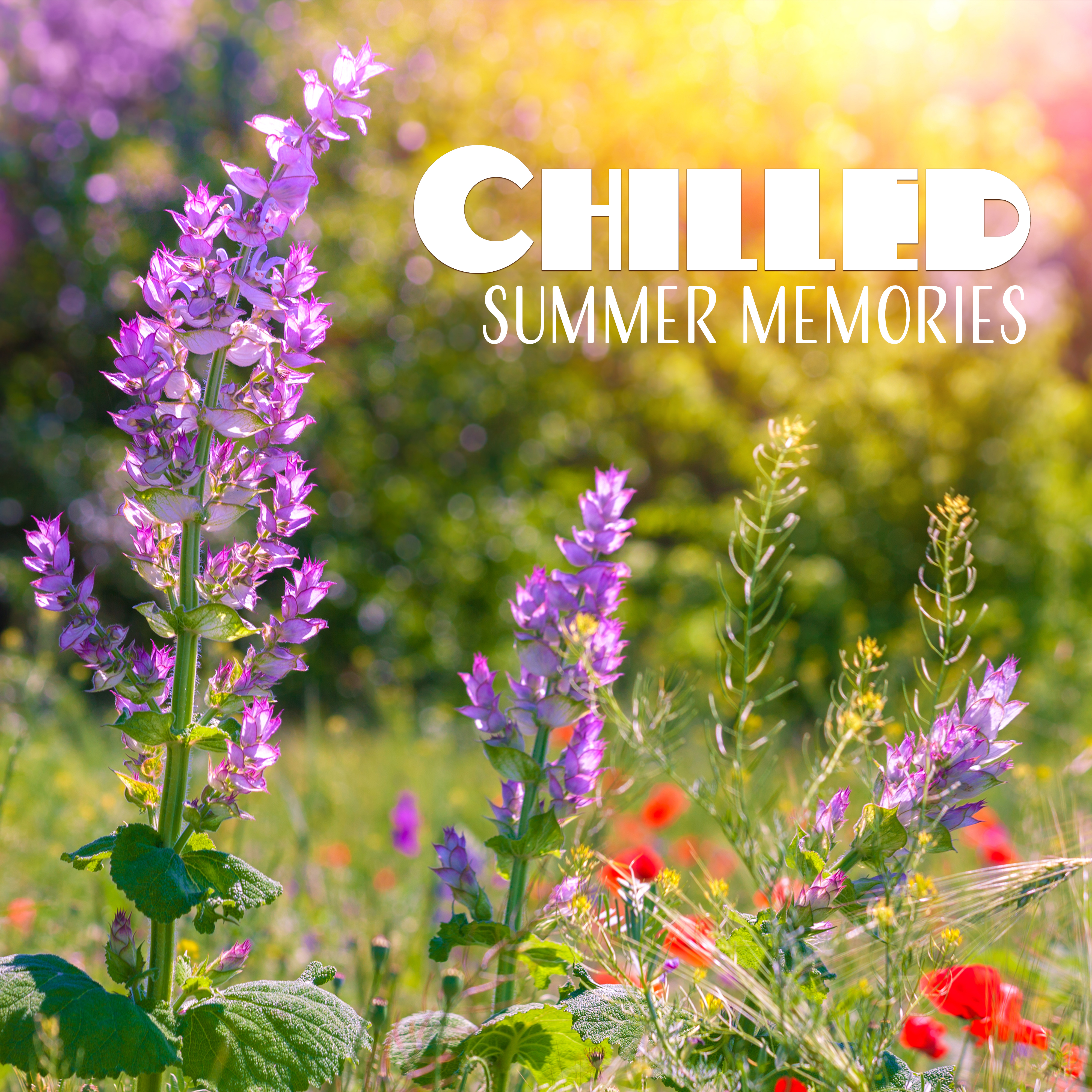 Chilled Summer Memories – Calming Sounds, Waves of Calmness, Chill Out Beats, Beach Lounge
