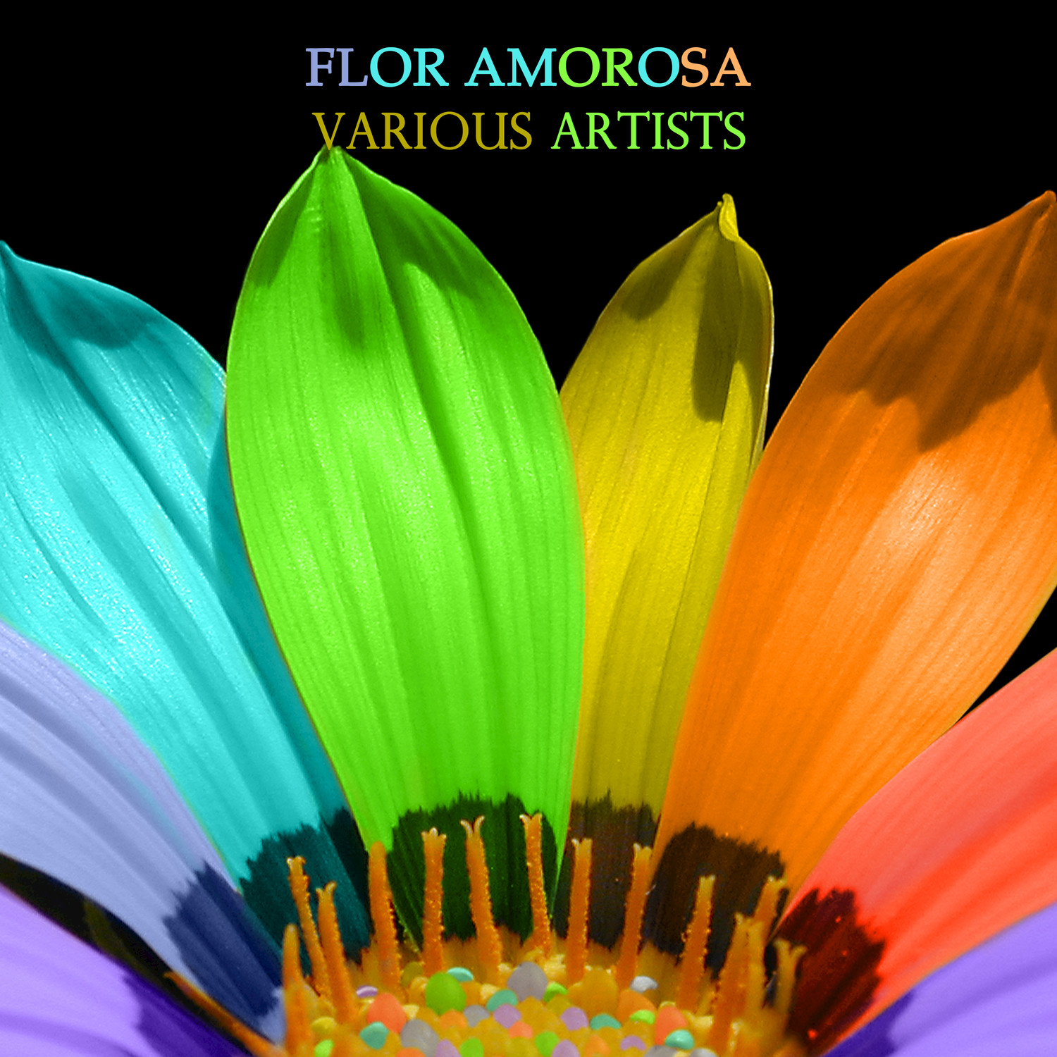 Flor Amorosa