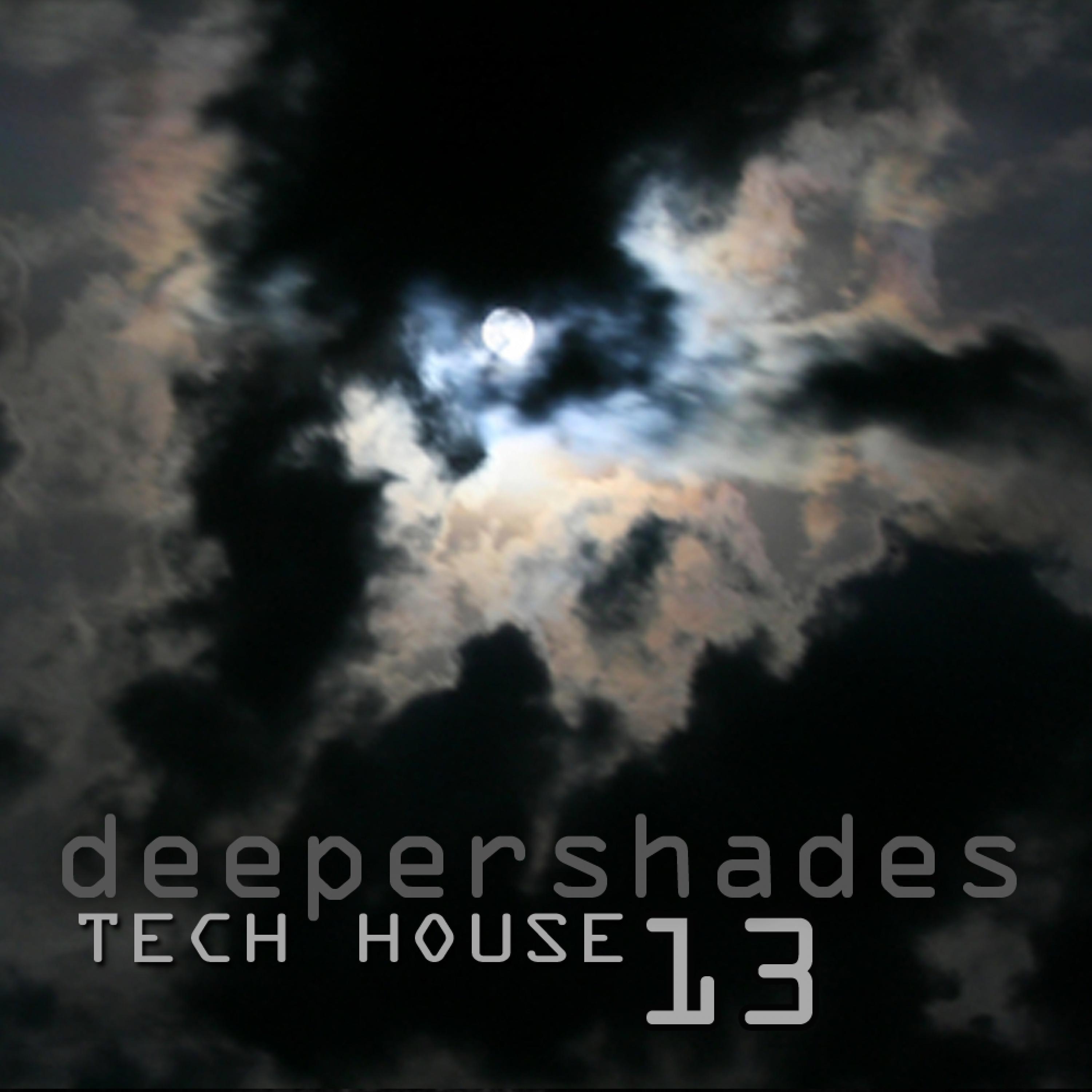 Deeper Shades Tech House 13