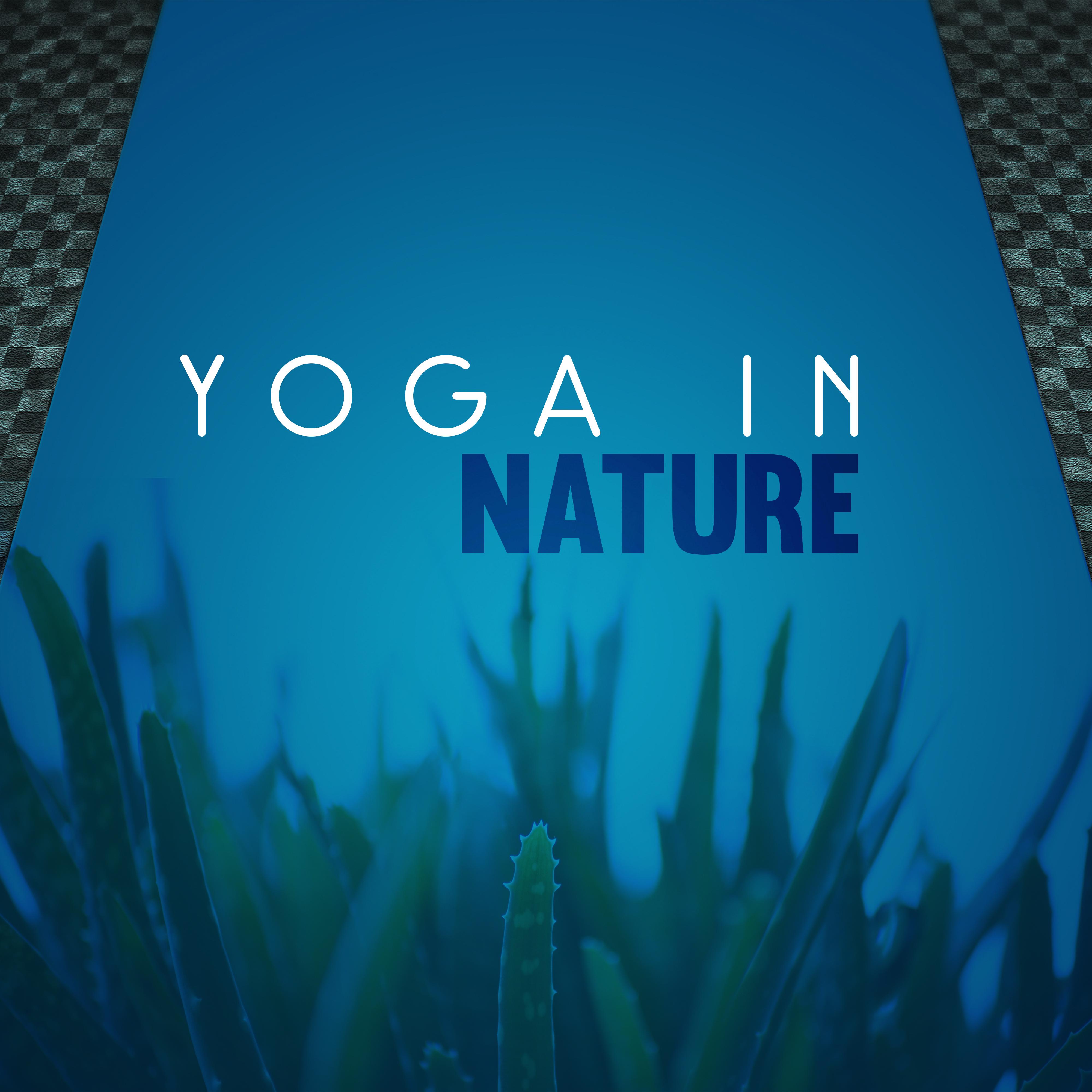 Yoga in Nature – Healing Yoga Music, Best for Meditation, Mantra, Mindfulness, Kindness Affirmation