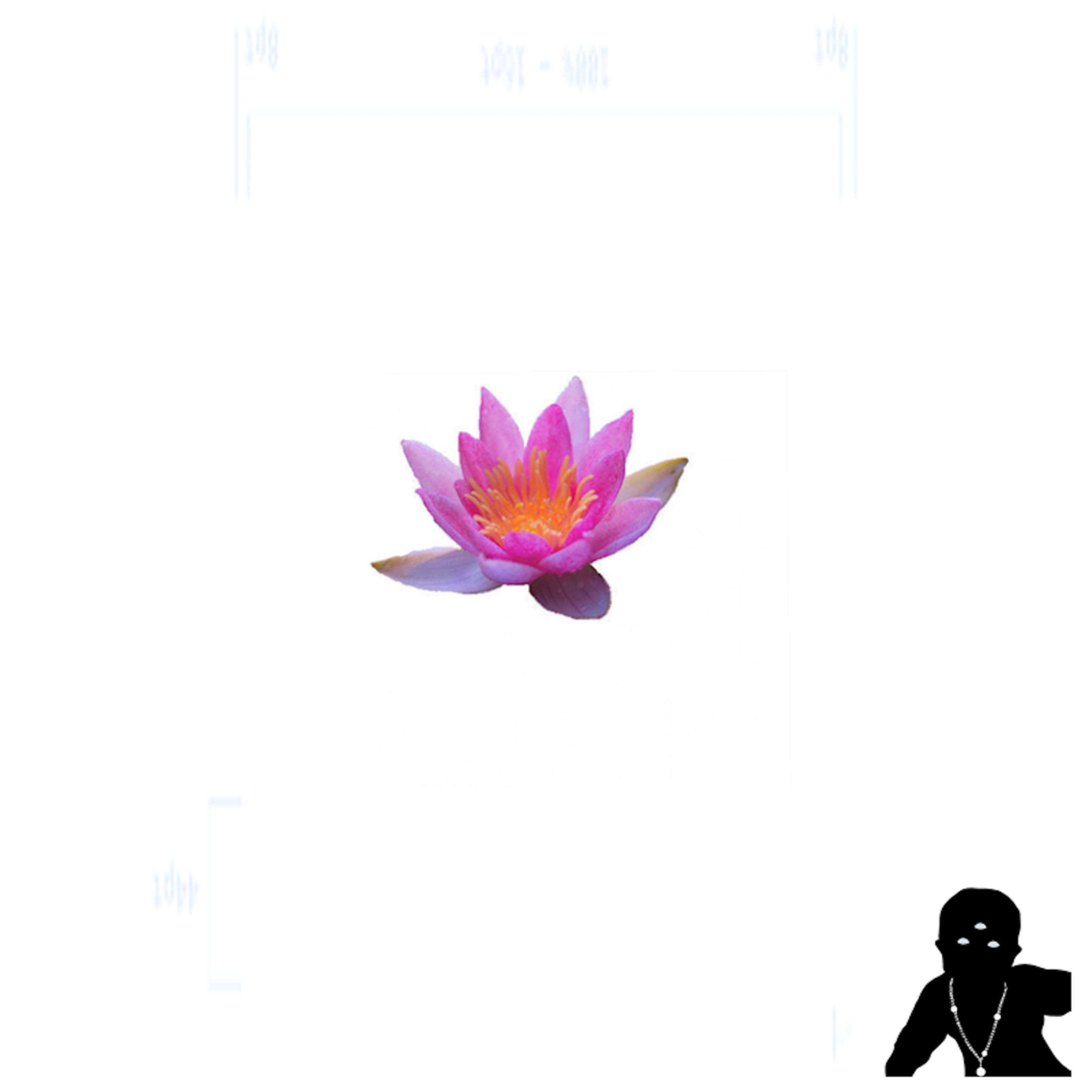 lotus