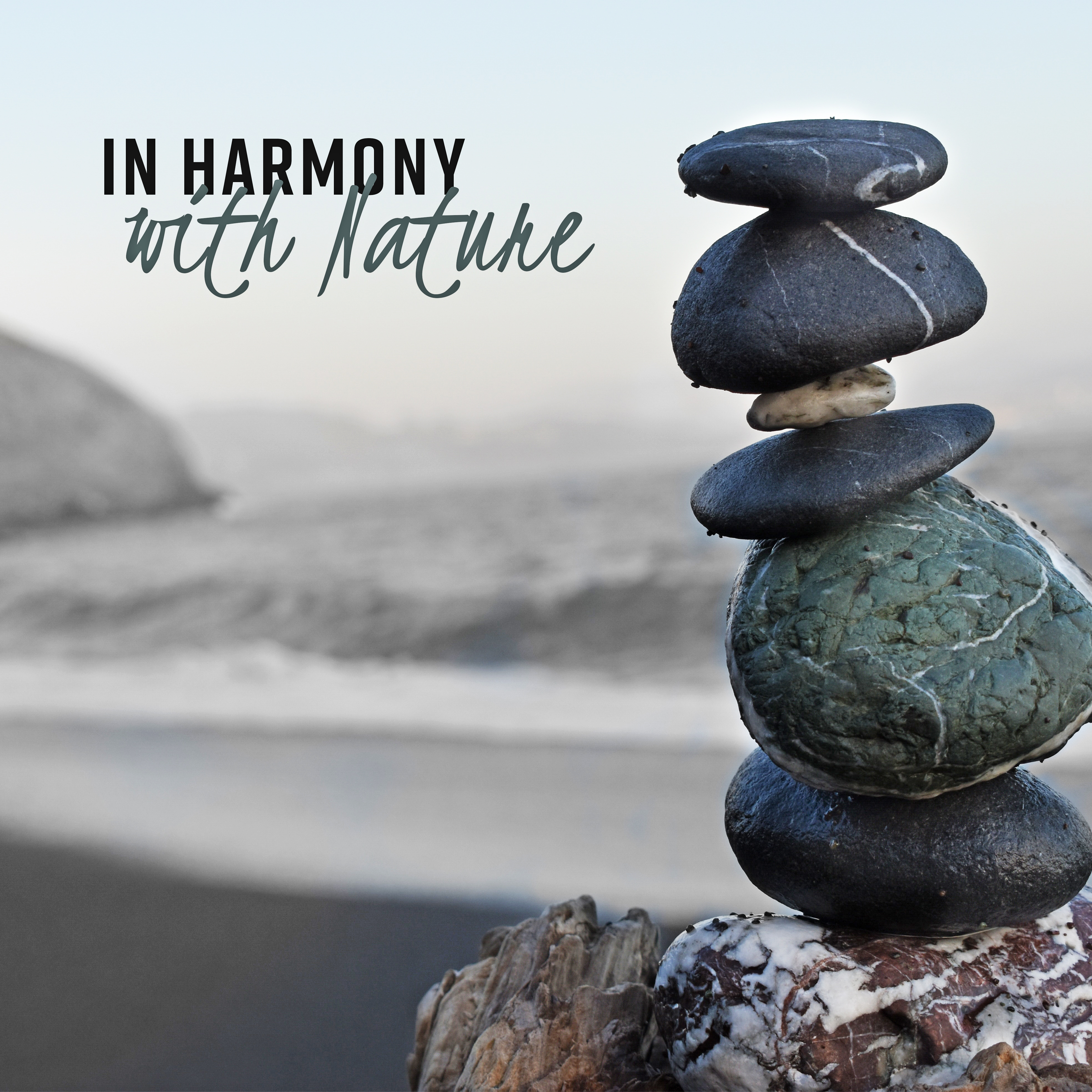 In Harmony with Nature: Best Music for Meditation, Spiritual Contemplation, Nature Sounds for Balance Meditation