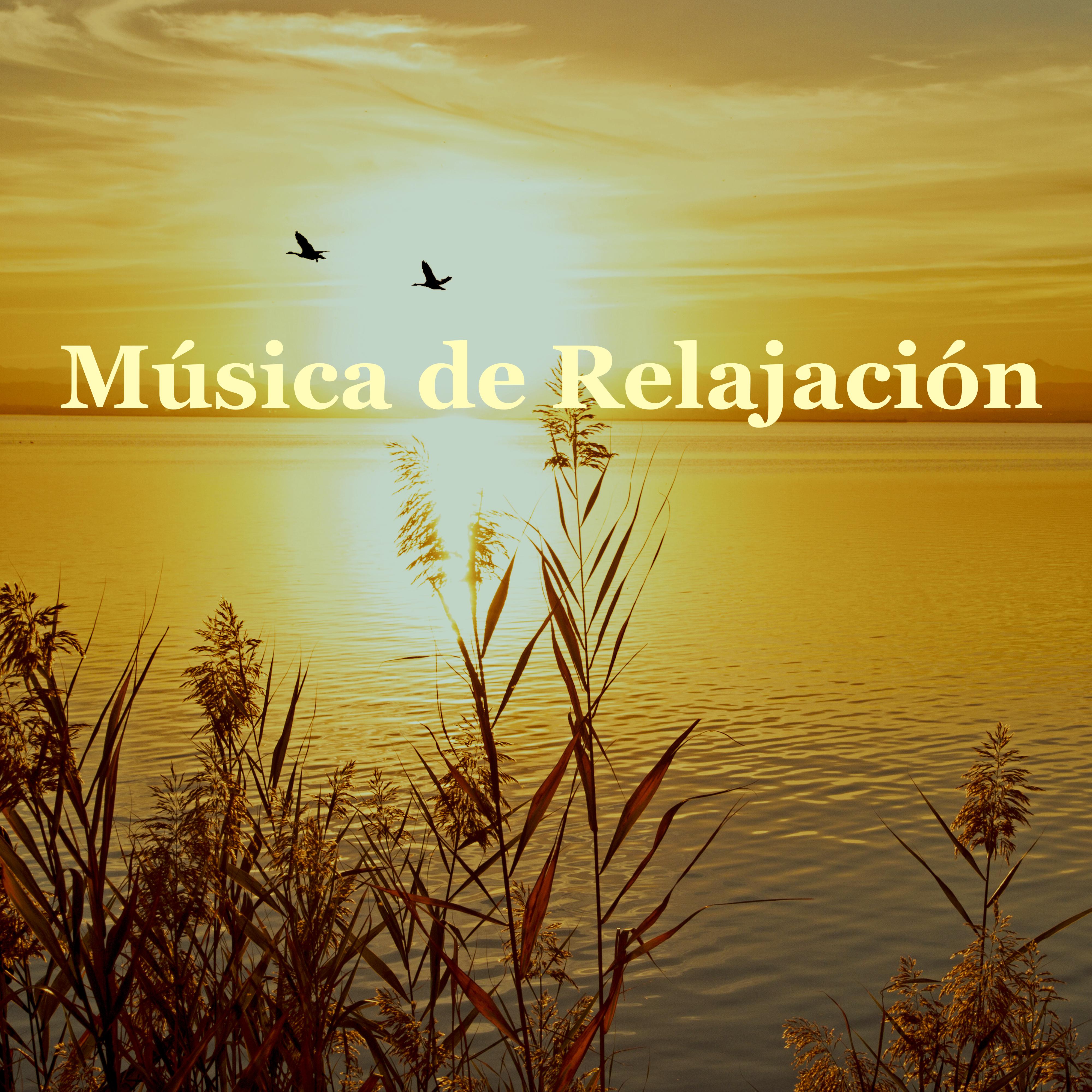 Música de Relajación para Meditar: Sonidos de lluvia para Dormir Bien, Música Instrumental para Vivir Bien