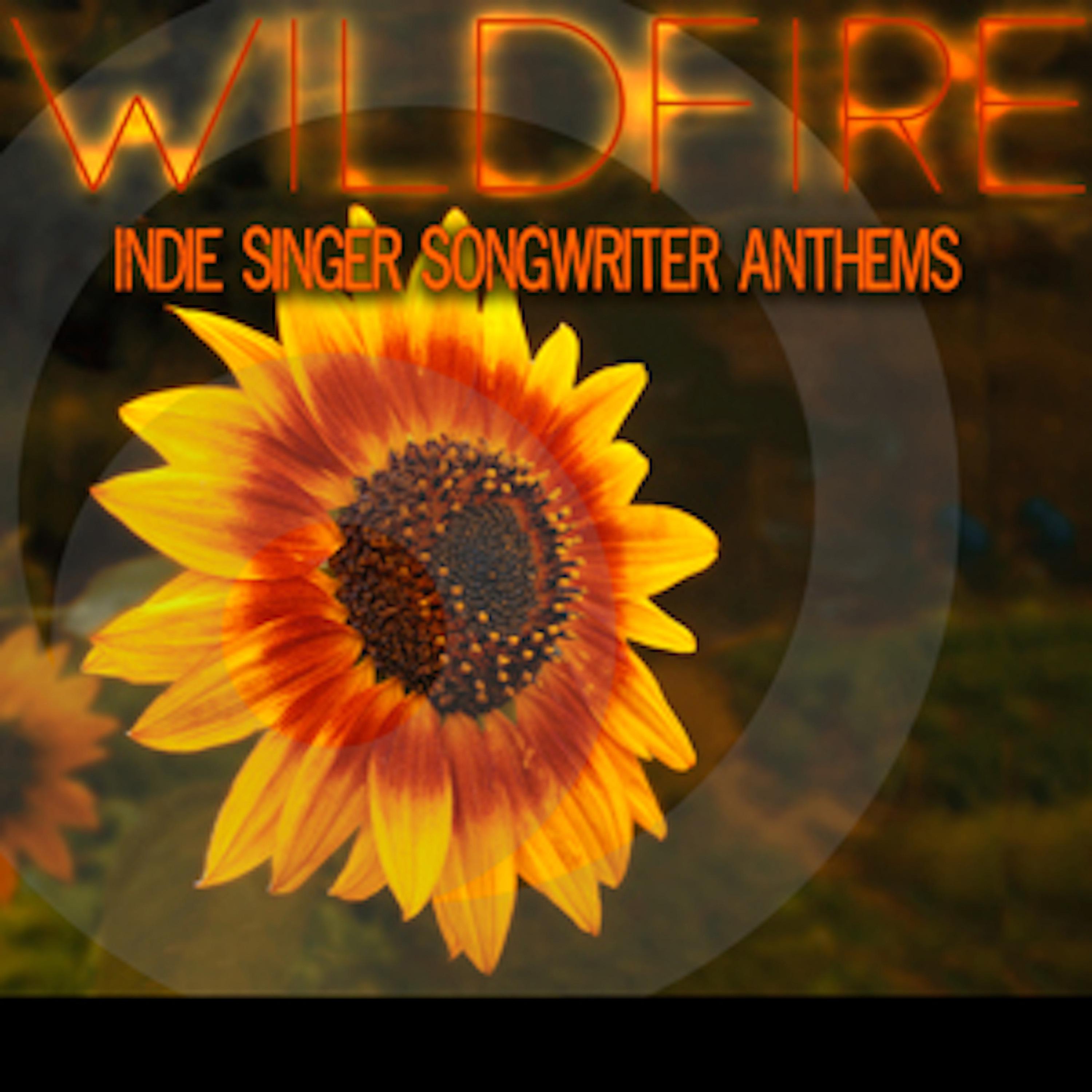 Wildfire