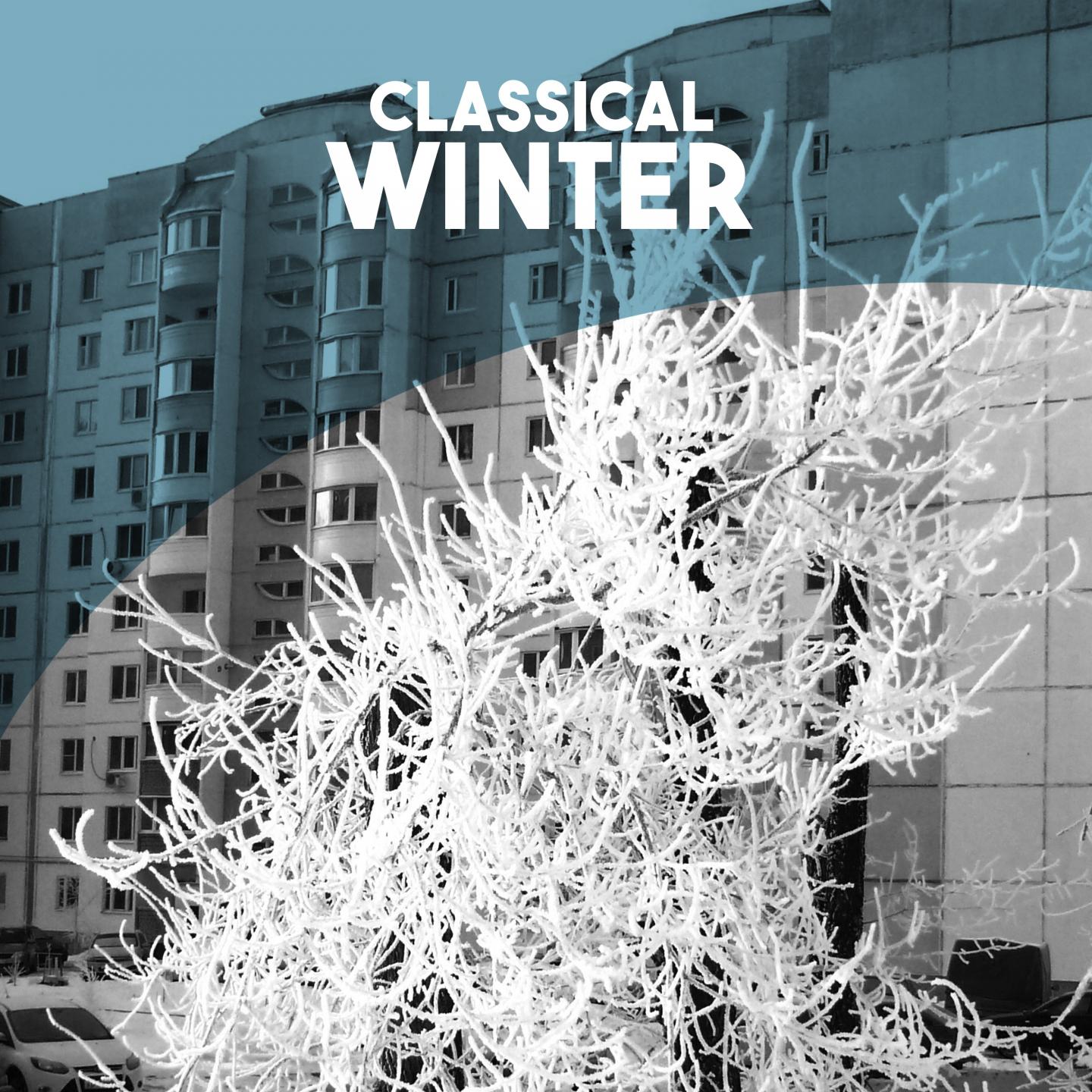 Cinderella Suite No. 1, Op. 107: IV. Fairy Godmother and Fairy Winter