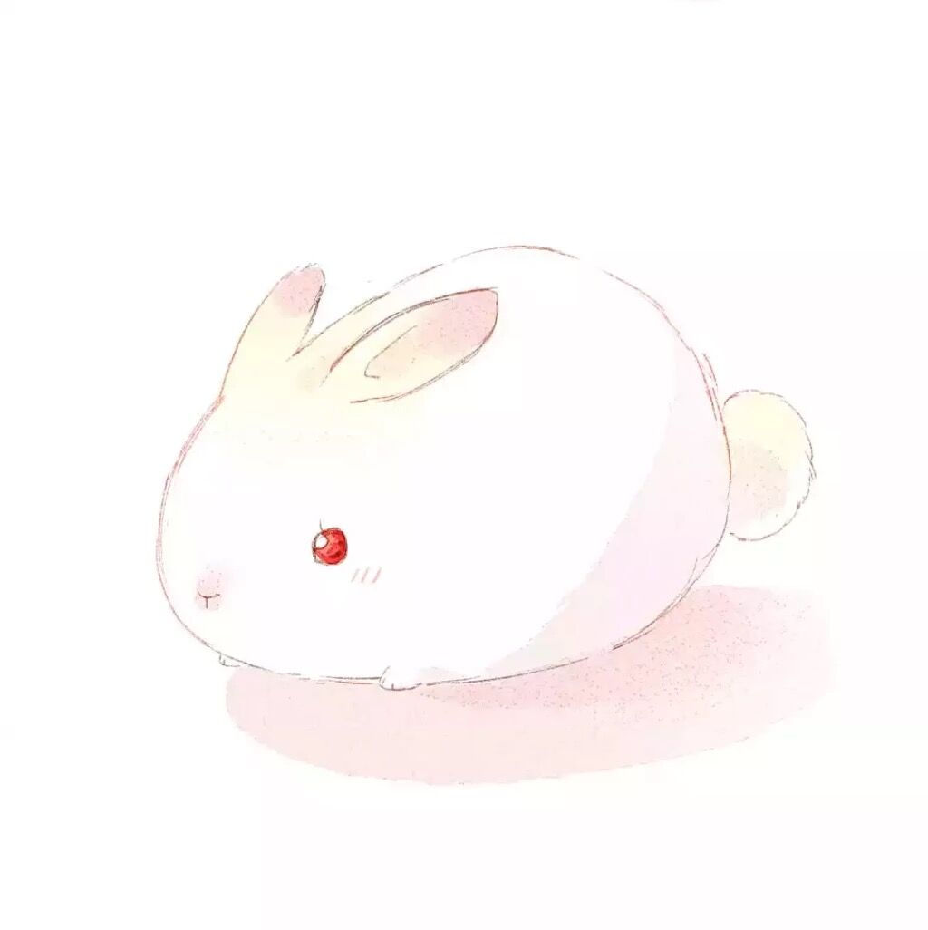 小了白了兔