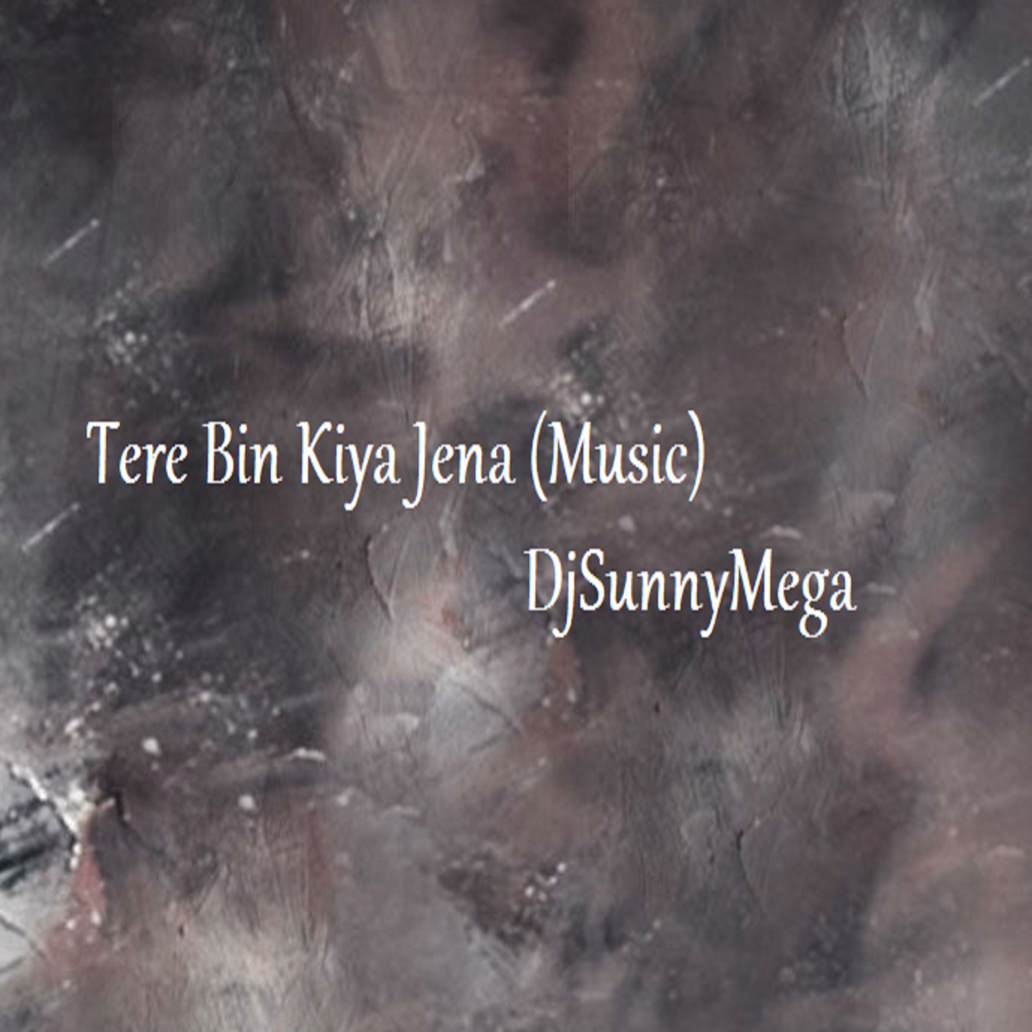 Tere Bin Kiya Jena (Music)