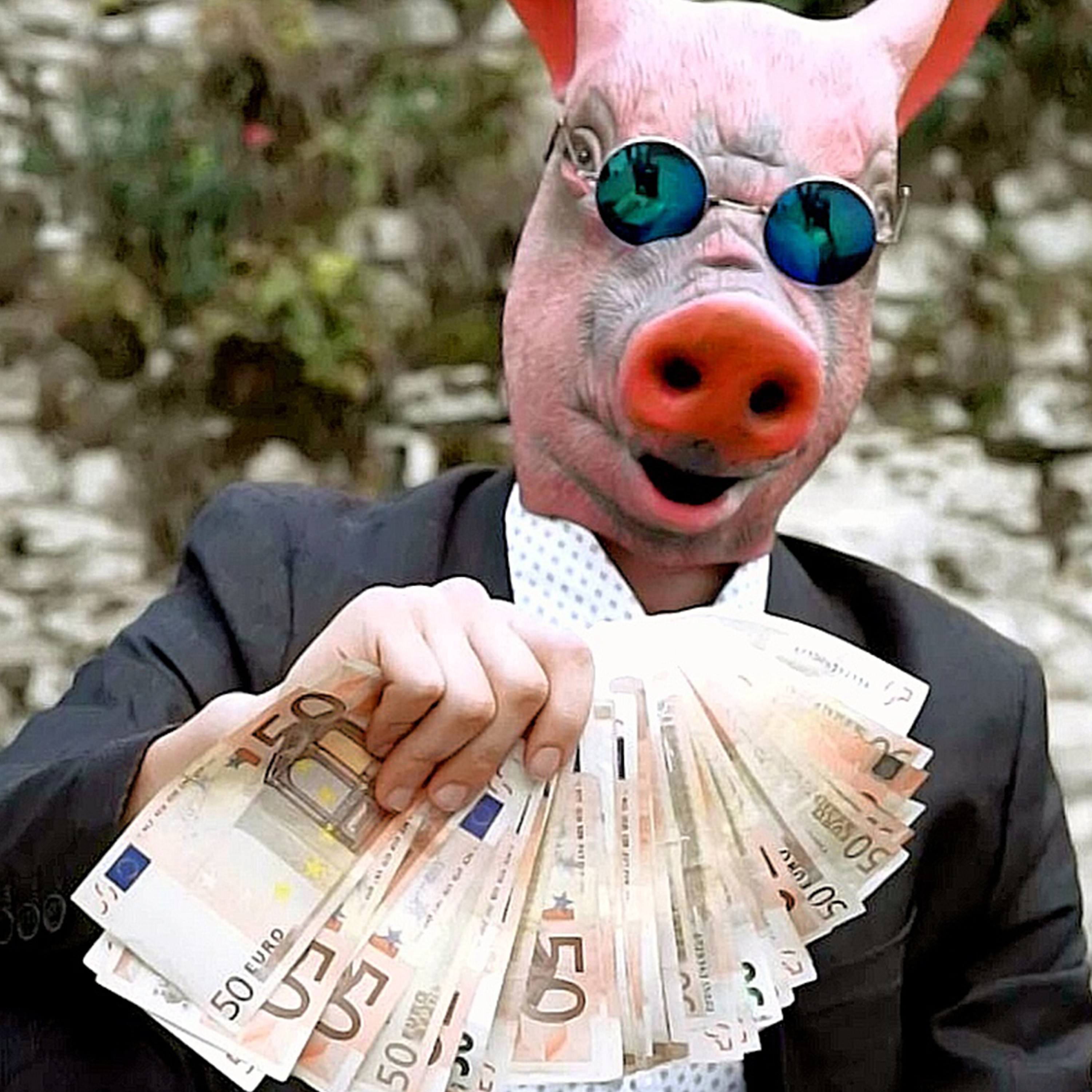 Pig Money