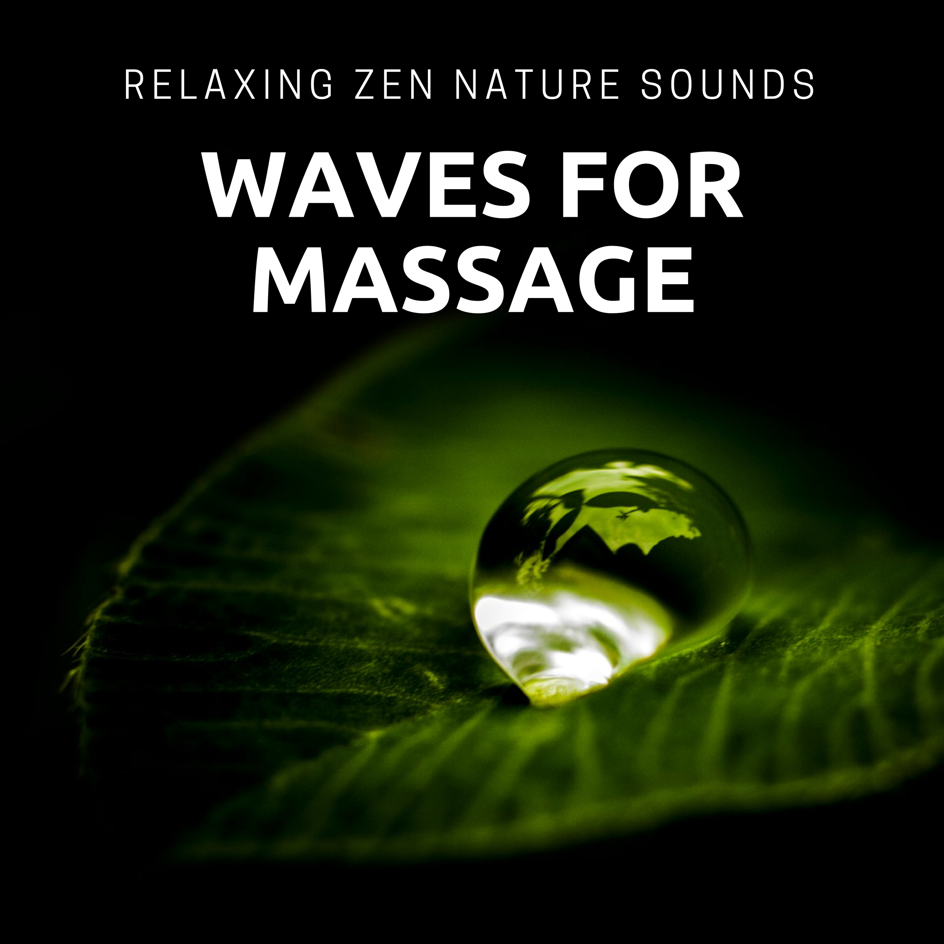Best Nature Sounds for Relax