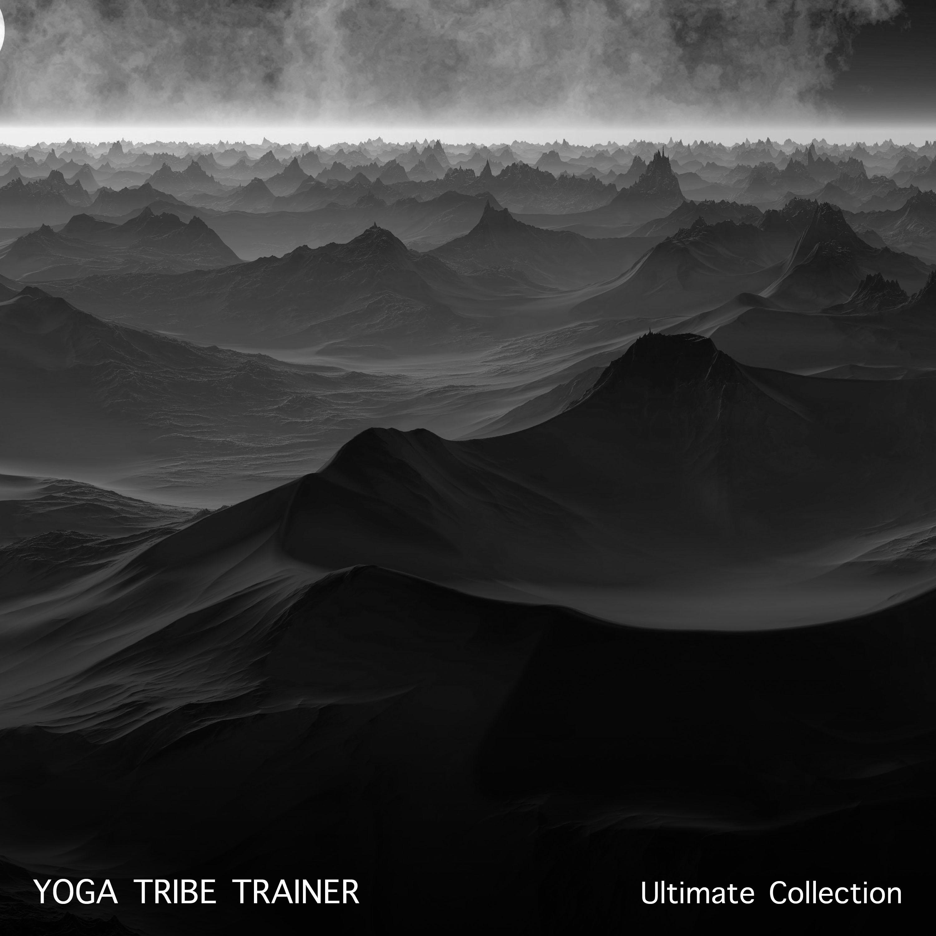 14 Ultimate Workout Collection: Yoga Tribe Trainer