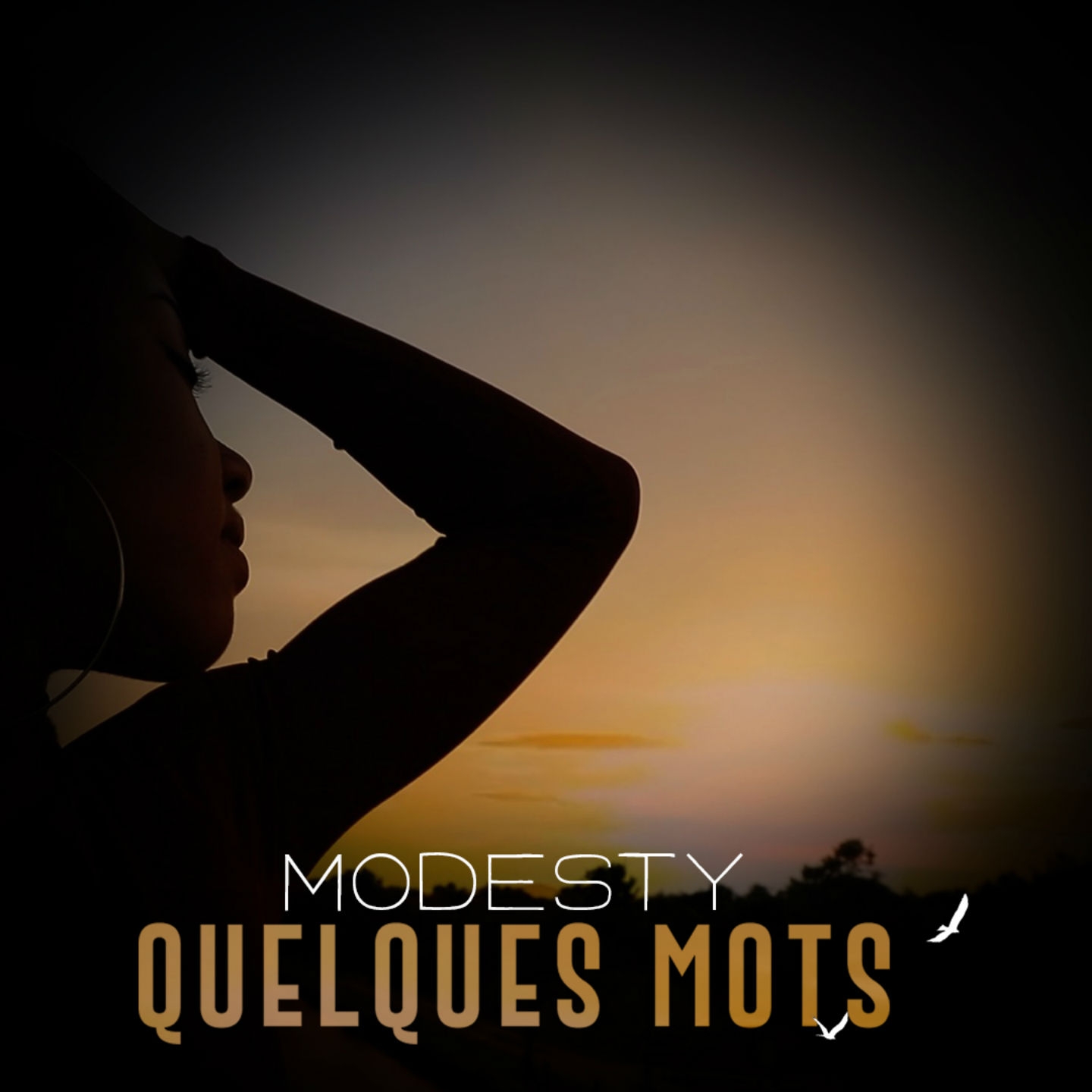 Quelques mots