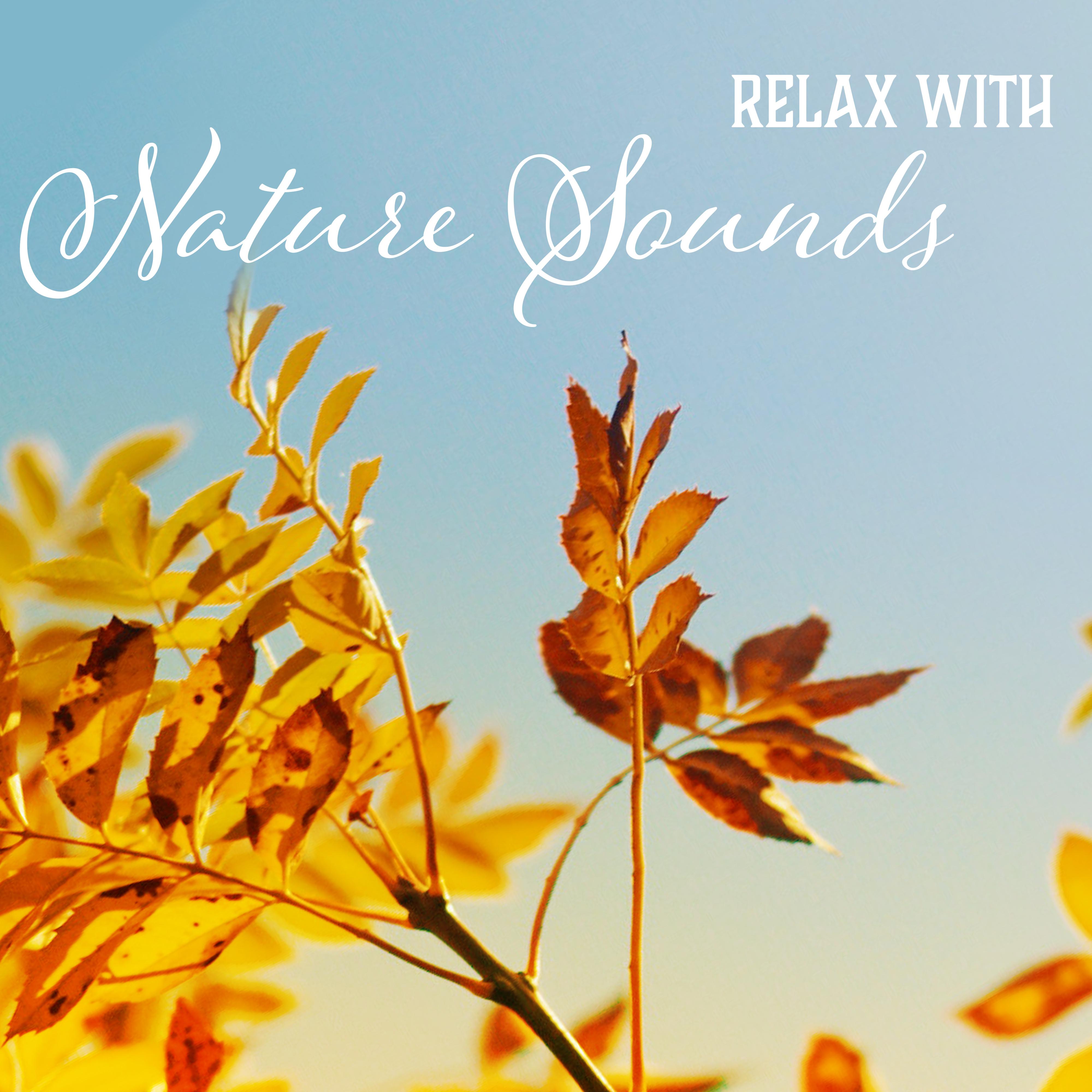 Relax with Nature Sounds – Stress Relieve, Time to Rest, Calming Nature Waves, Water Sounds