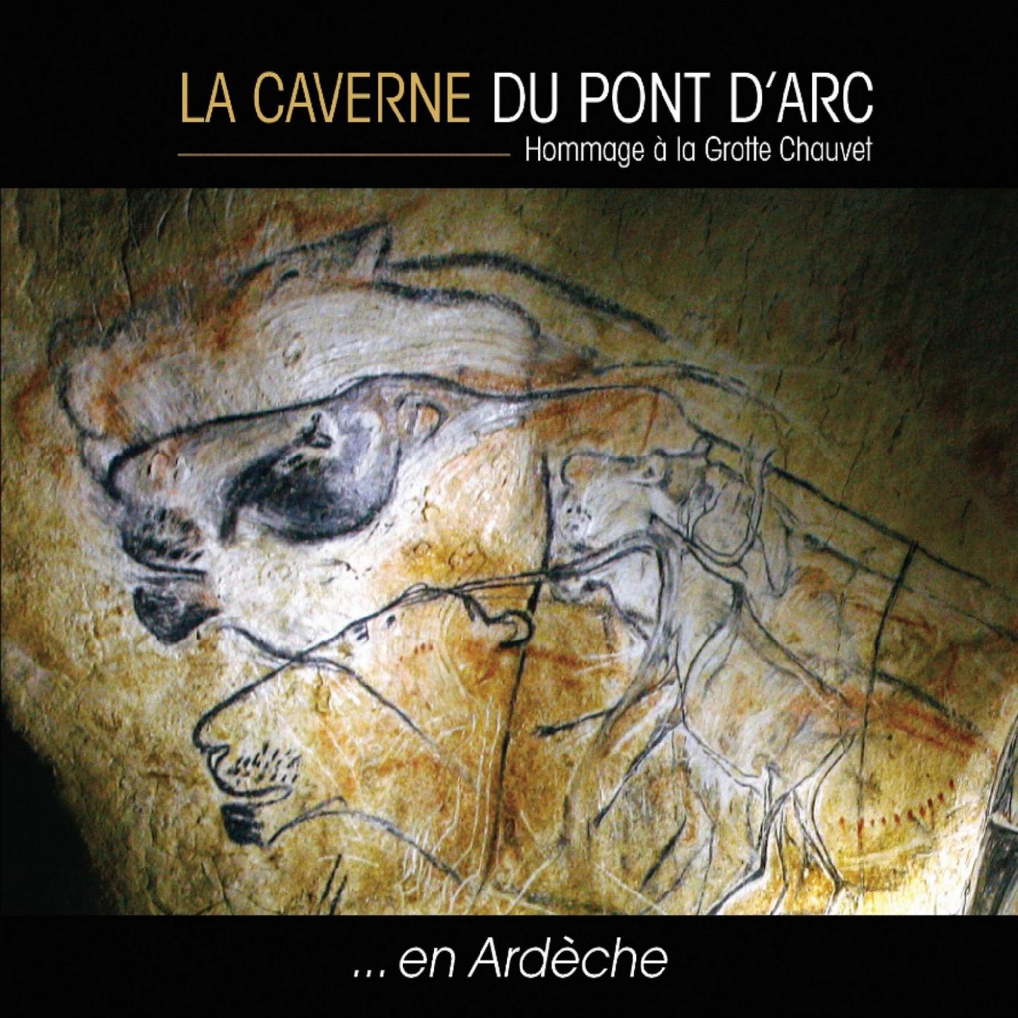 La caverne du Pont-d'Arc (Hommage à la grotte Chauvet en Ardèche)