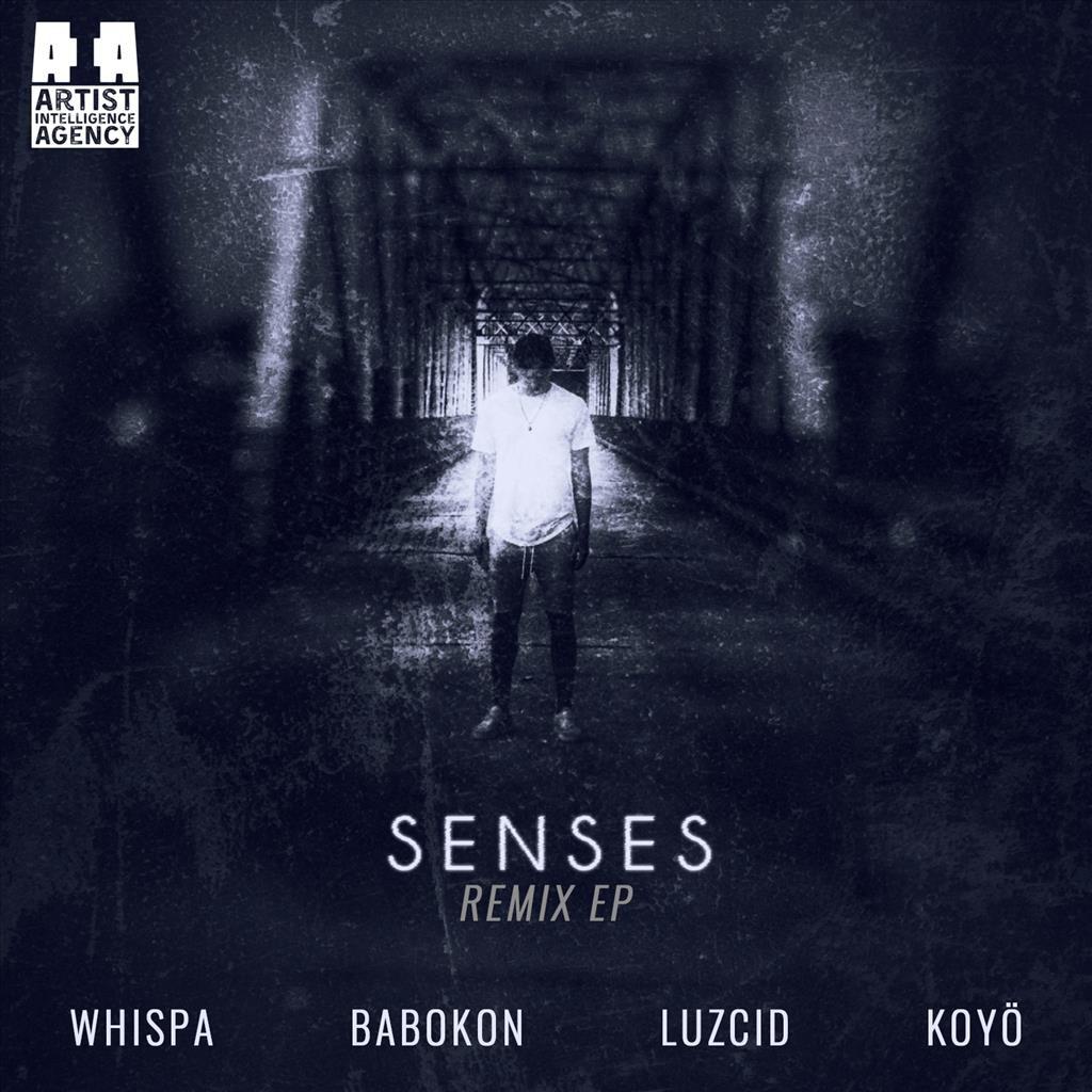 Senses (The Remixes)