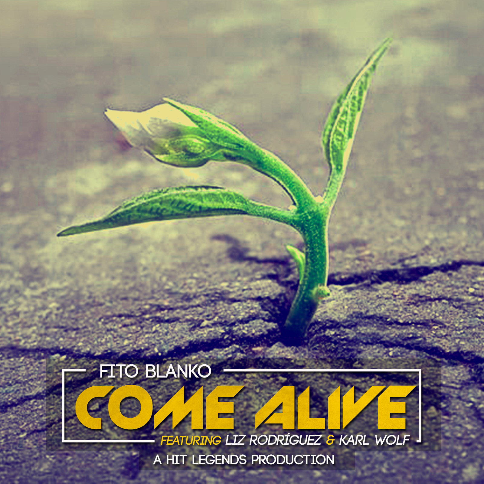 Come Alive