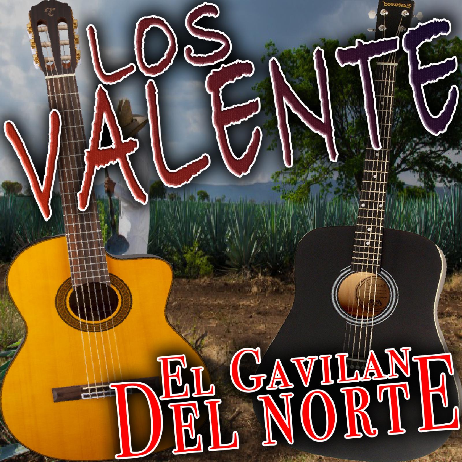 El Gavilan Del Norte