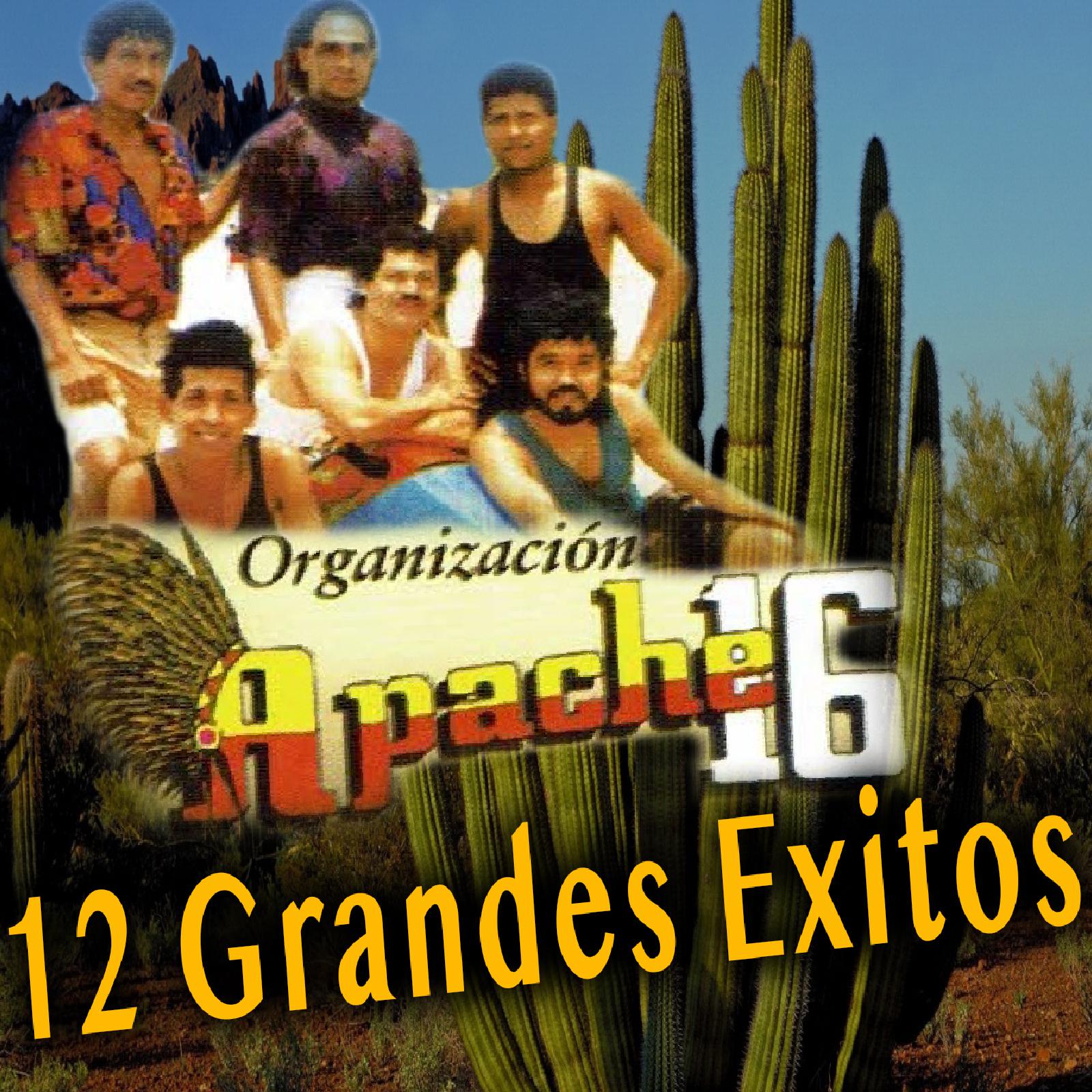 12 Grandes Exitos