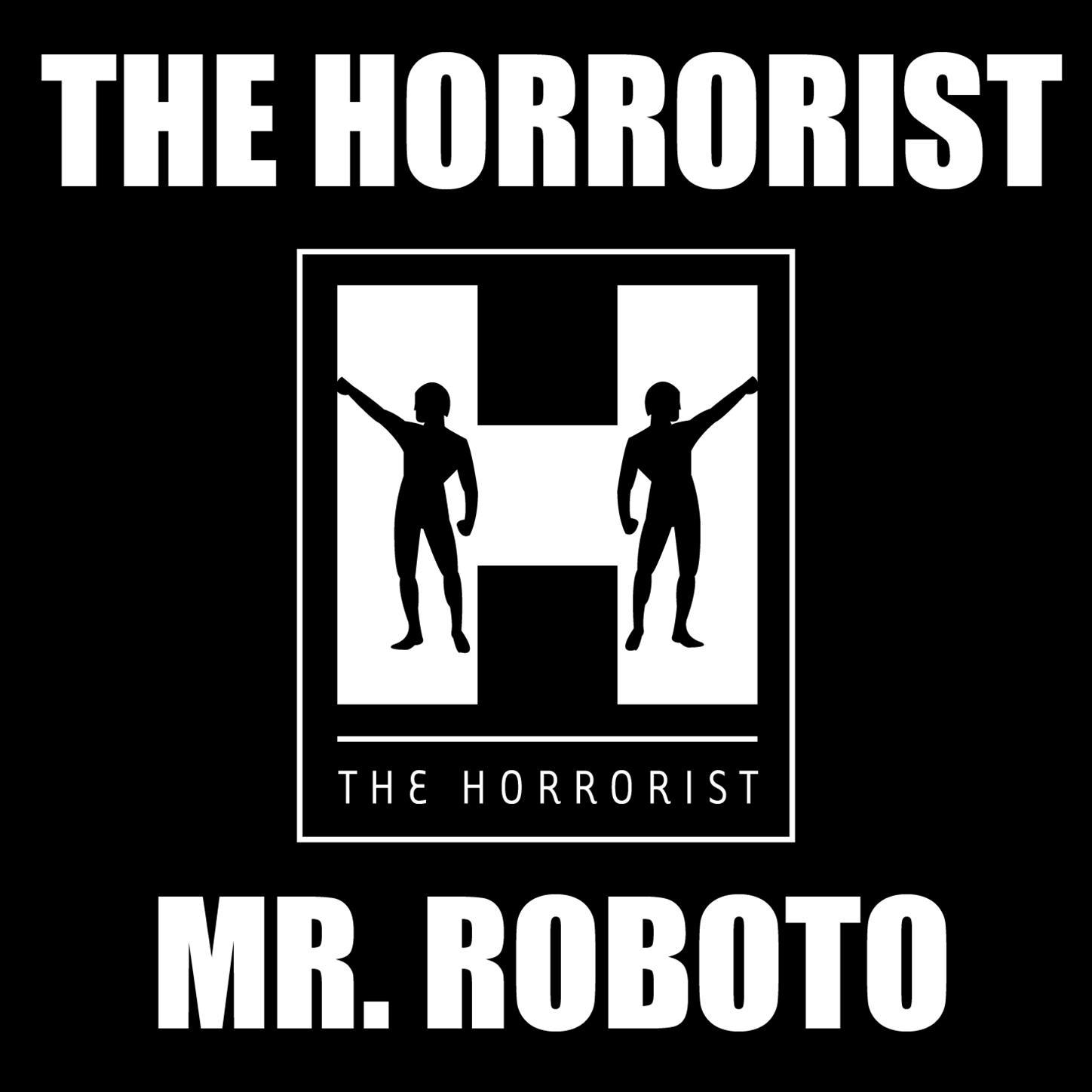 Mr. Roboto