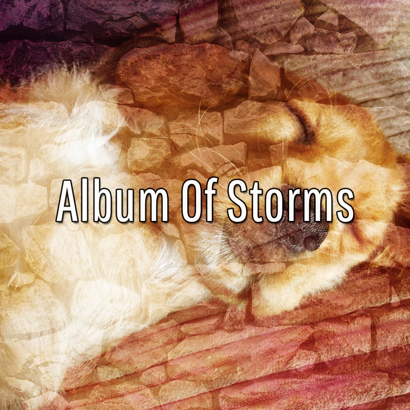 Album Of Storms