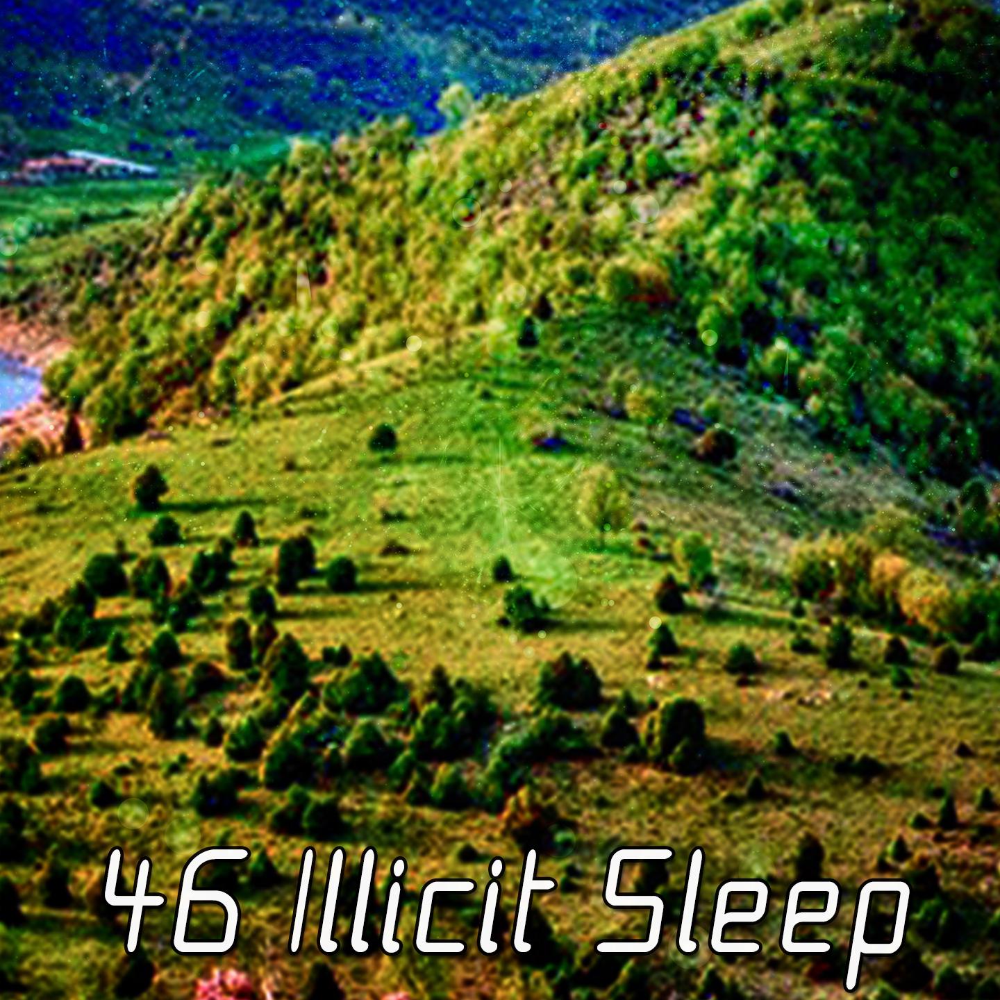 46 Illicit Sleep
