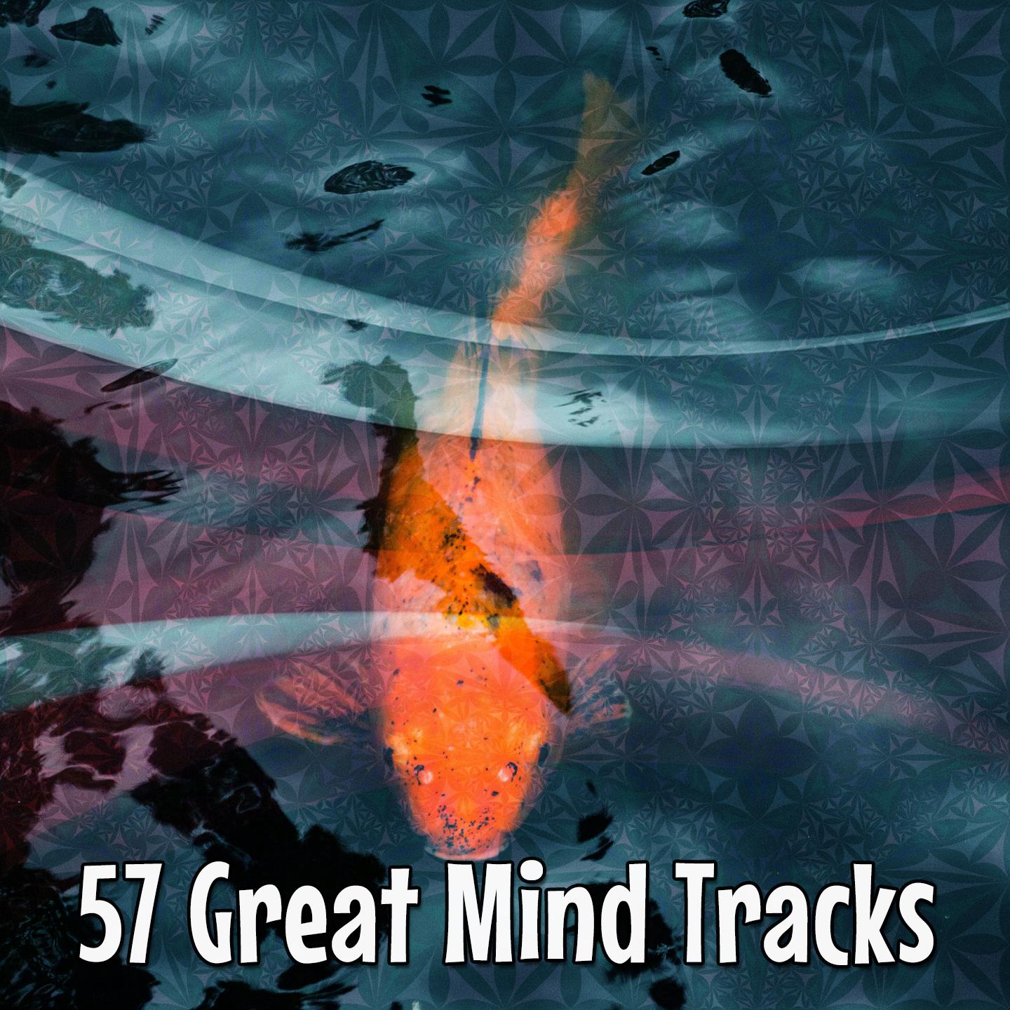 57 Great Mind Tracks