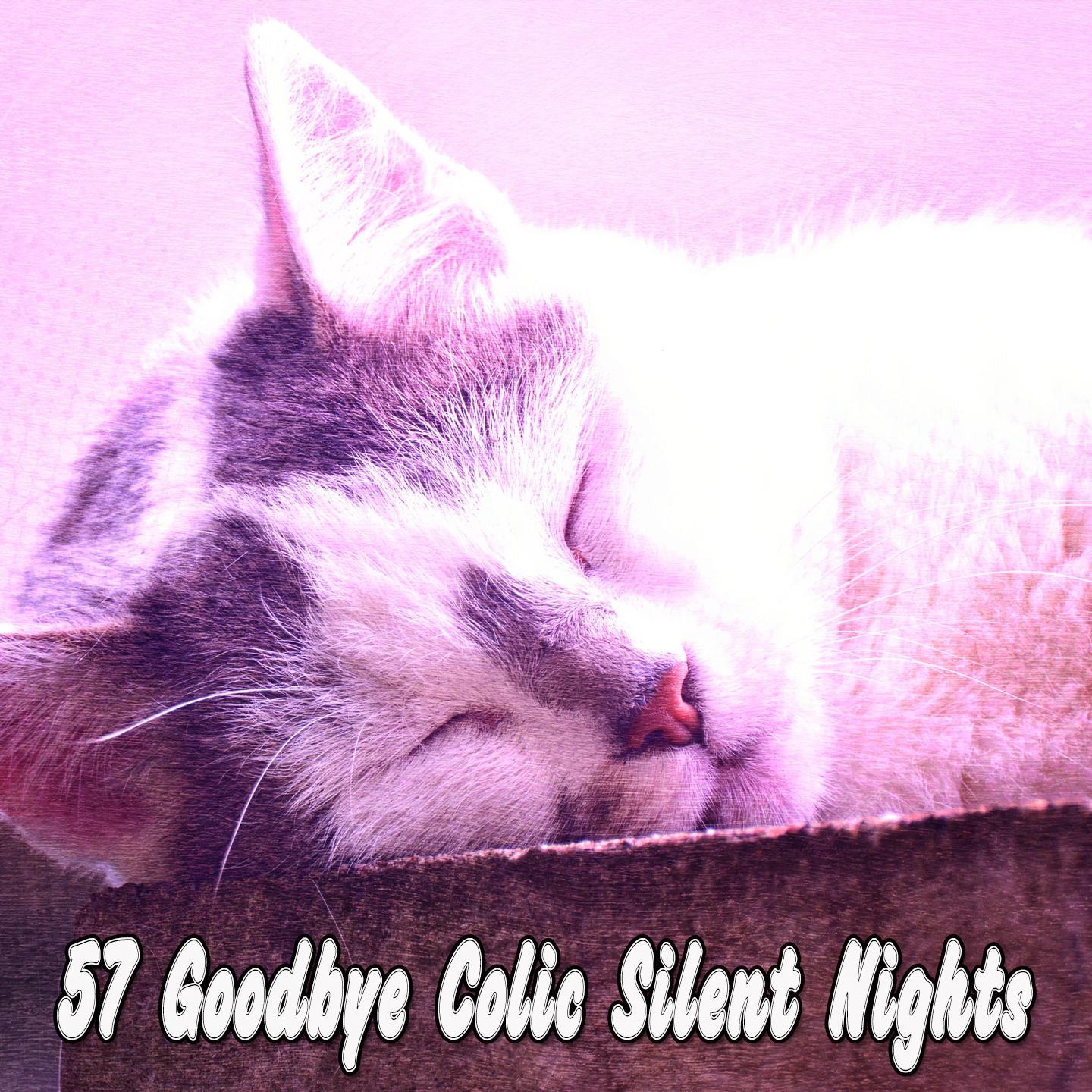 57 Goodbye Colic Silent Nights