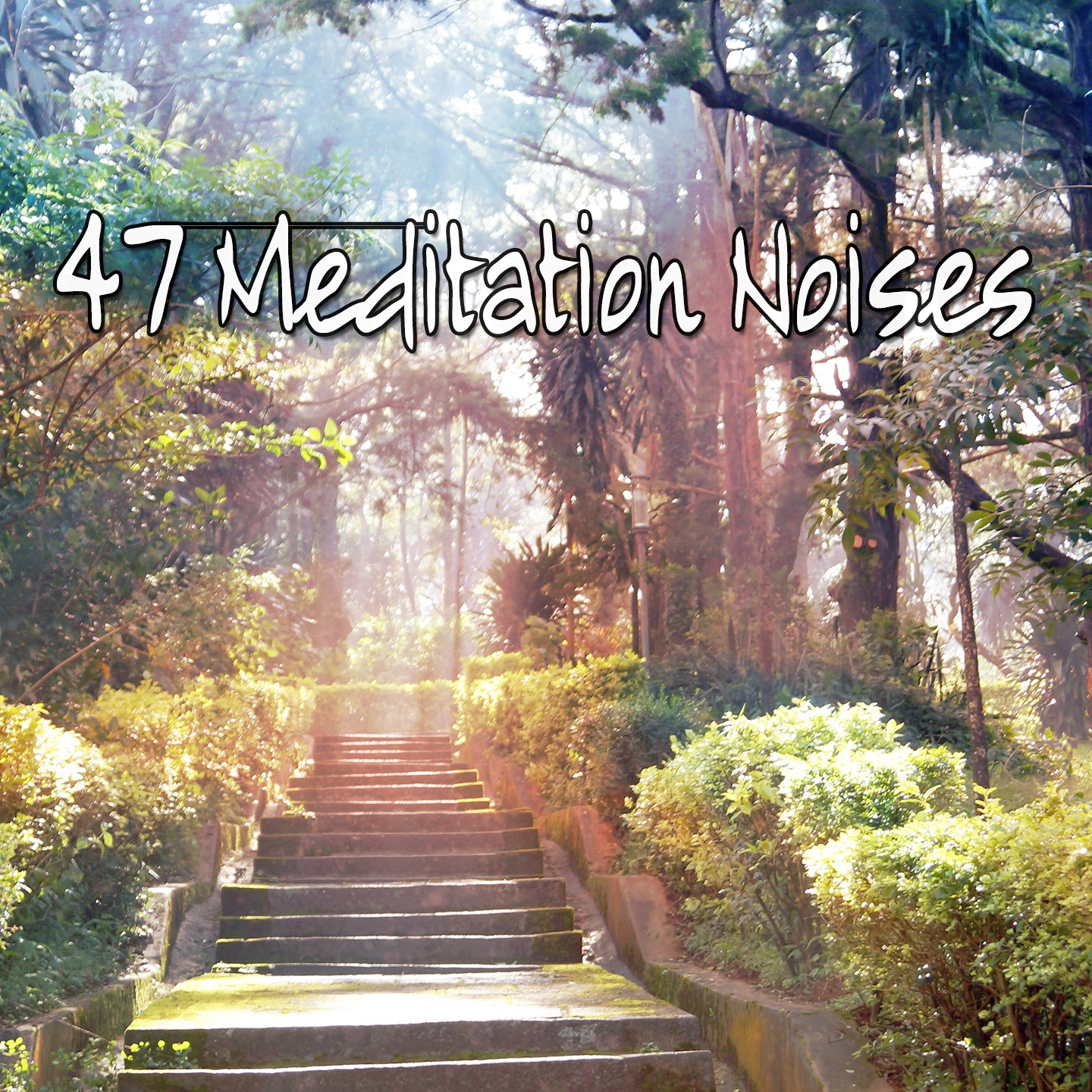 47 Meditation Noises