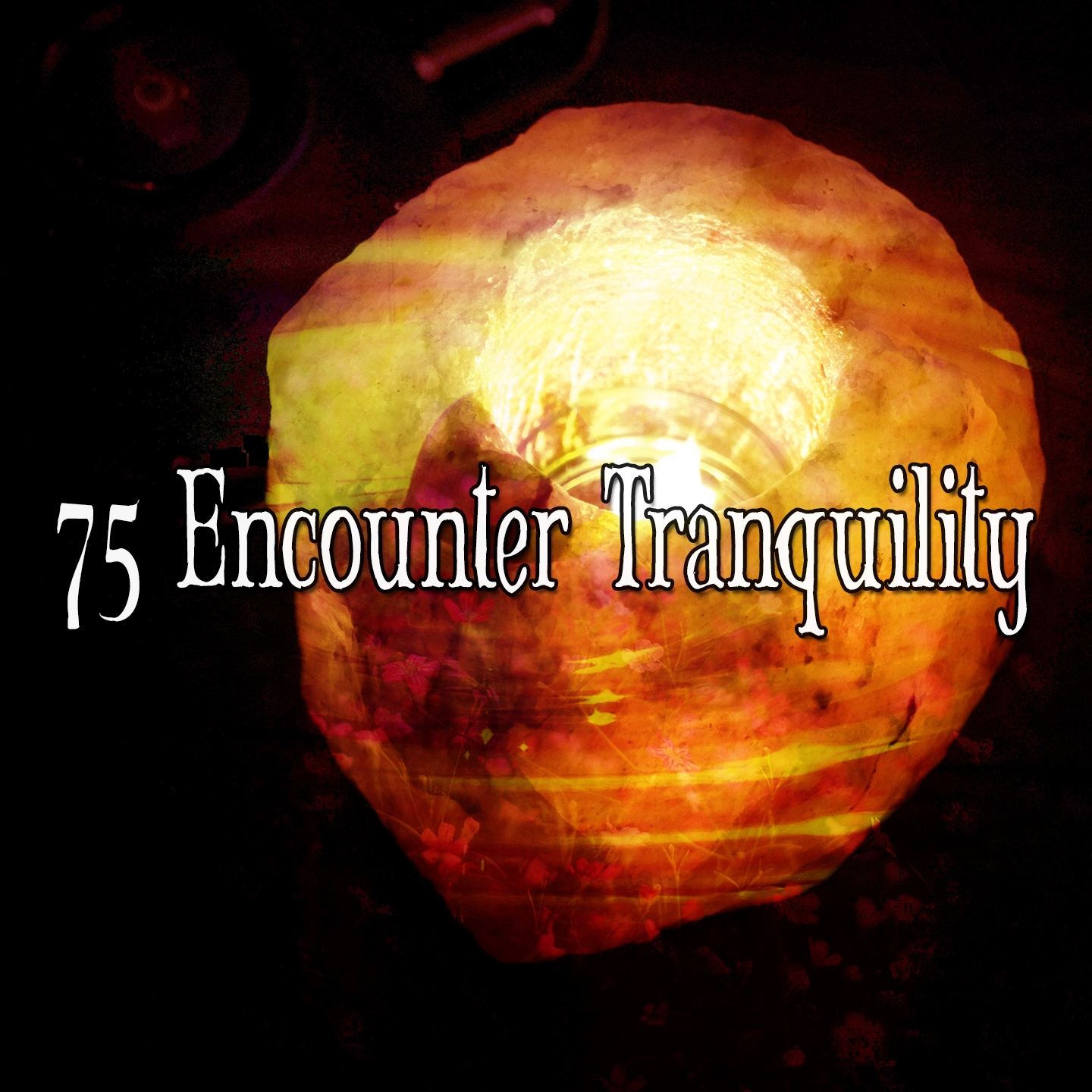 75 Encounter Tranquility