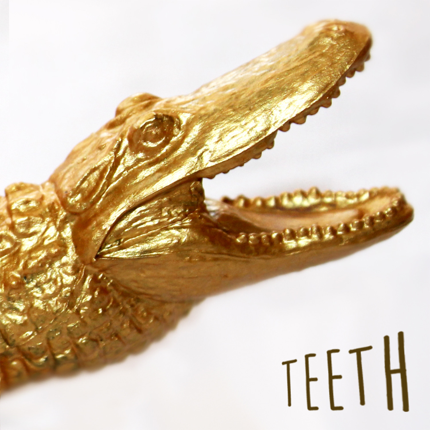 Teeth