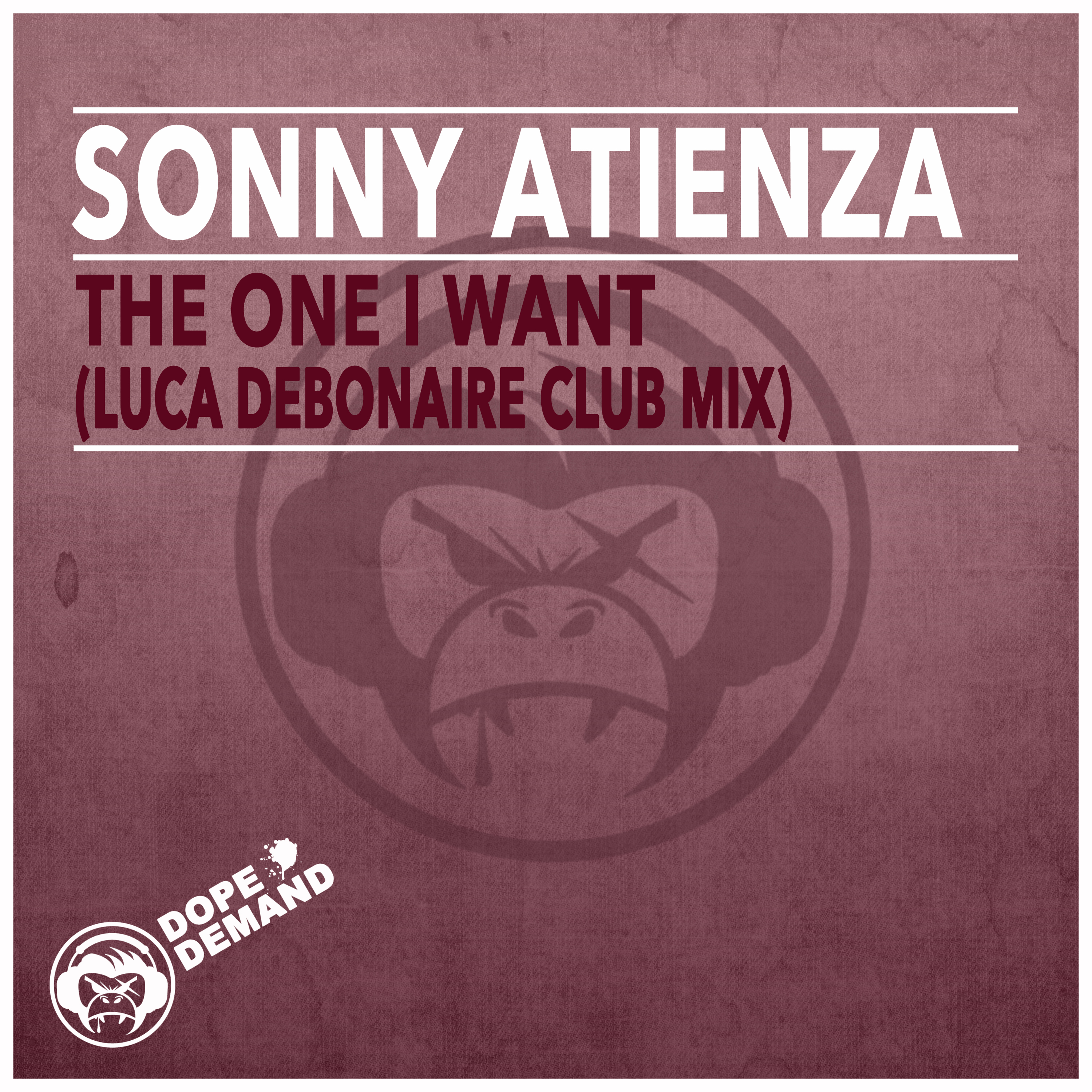 The One I Want (Luca Debonaire Club Mix)