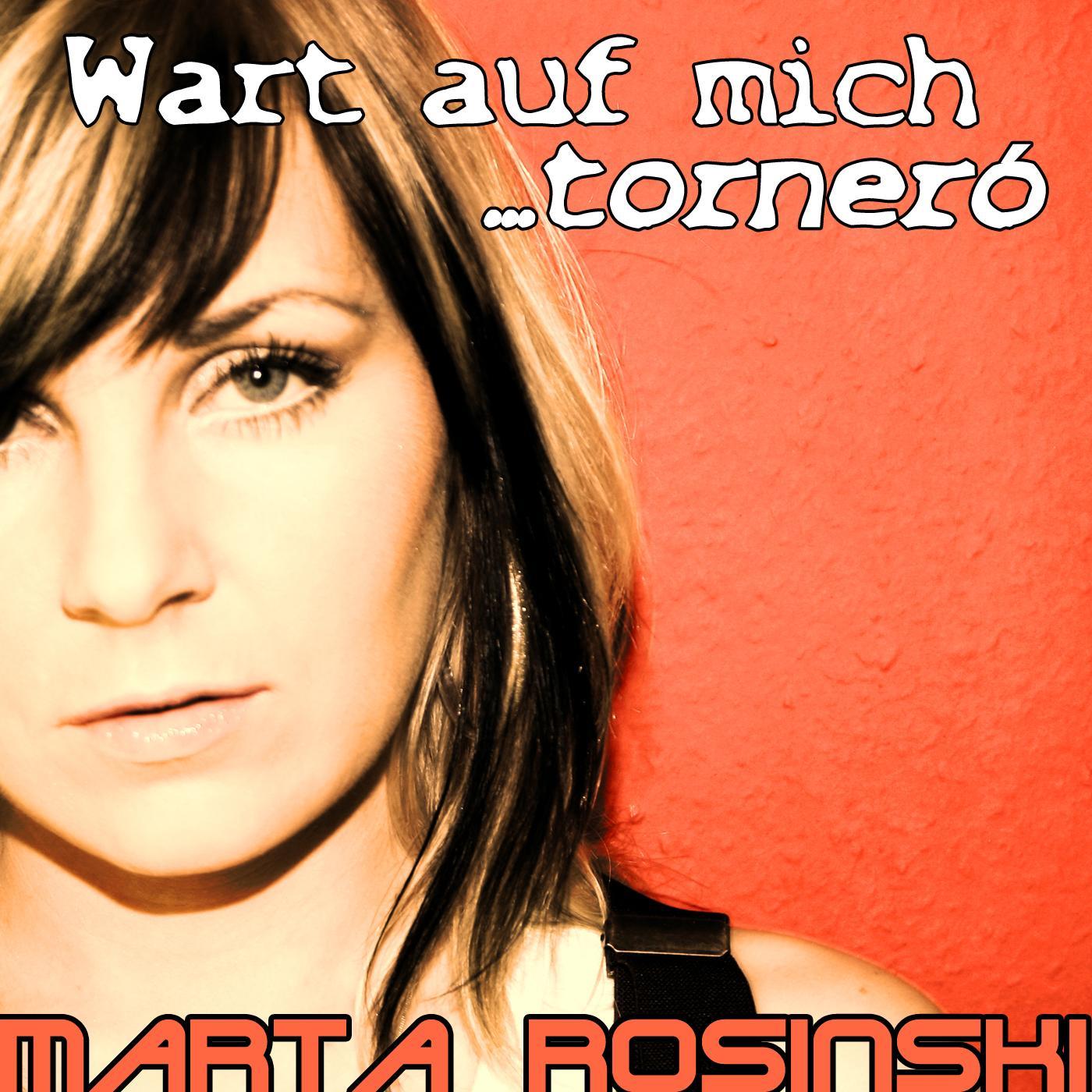 Wart auf mich ( torneró ) (1000 Träume weit Mixdown)