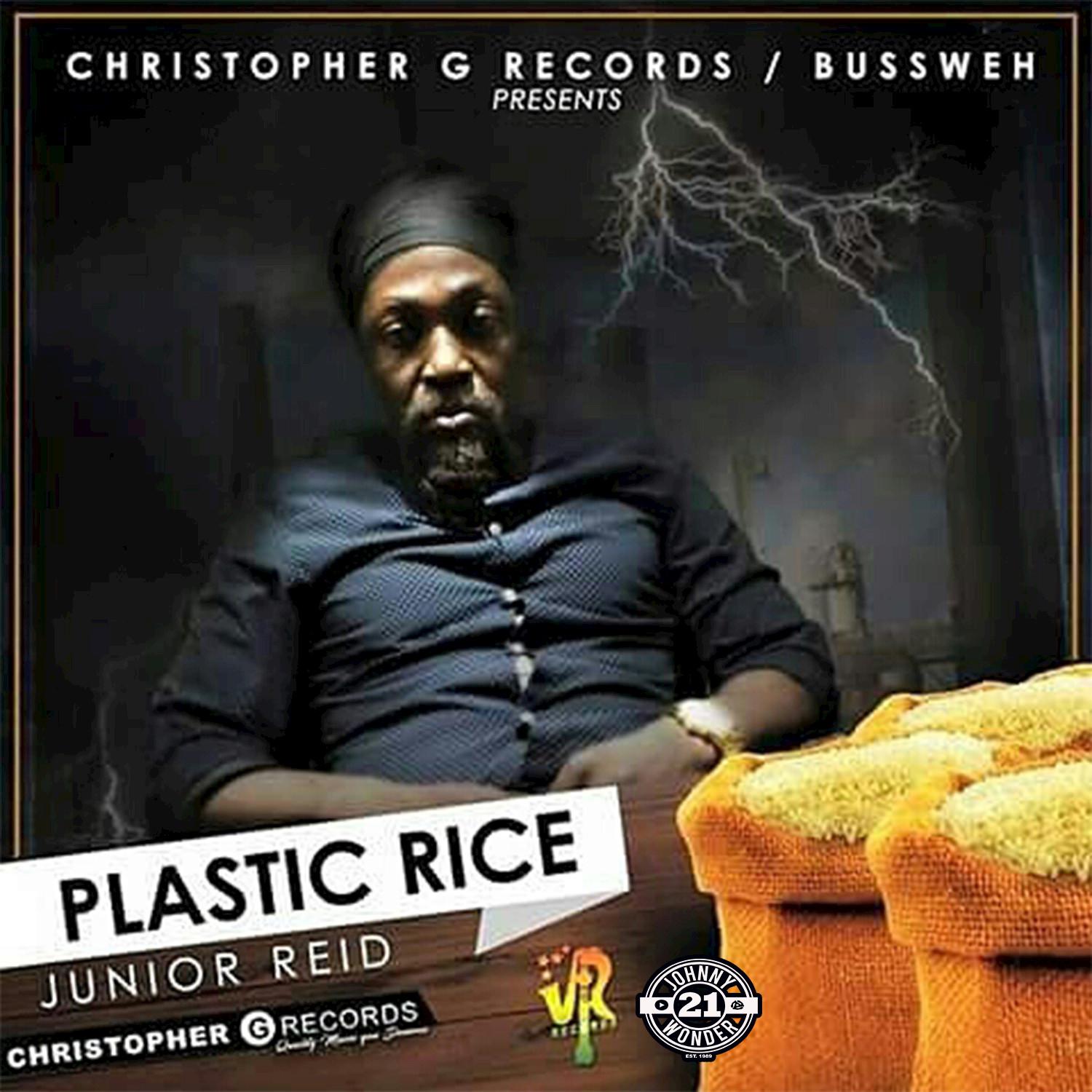 Plastic Rice