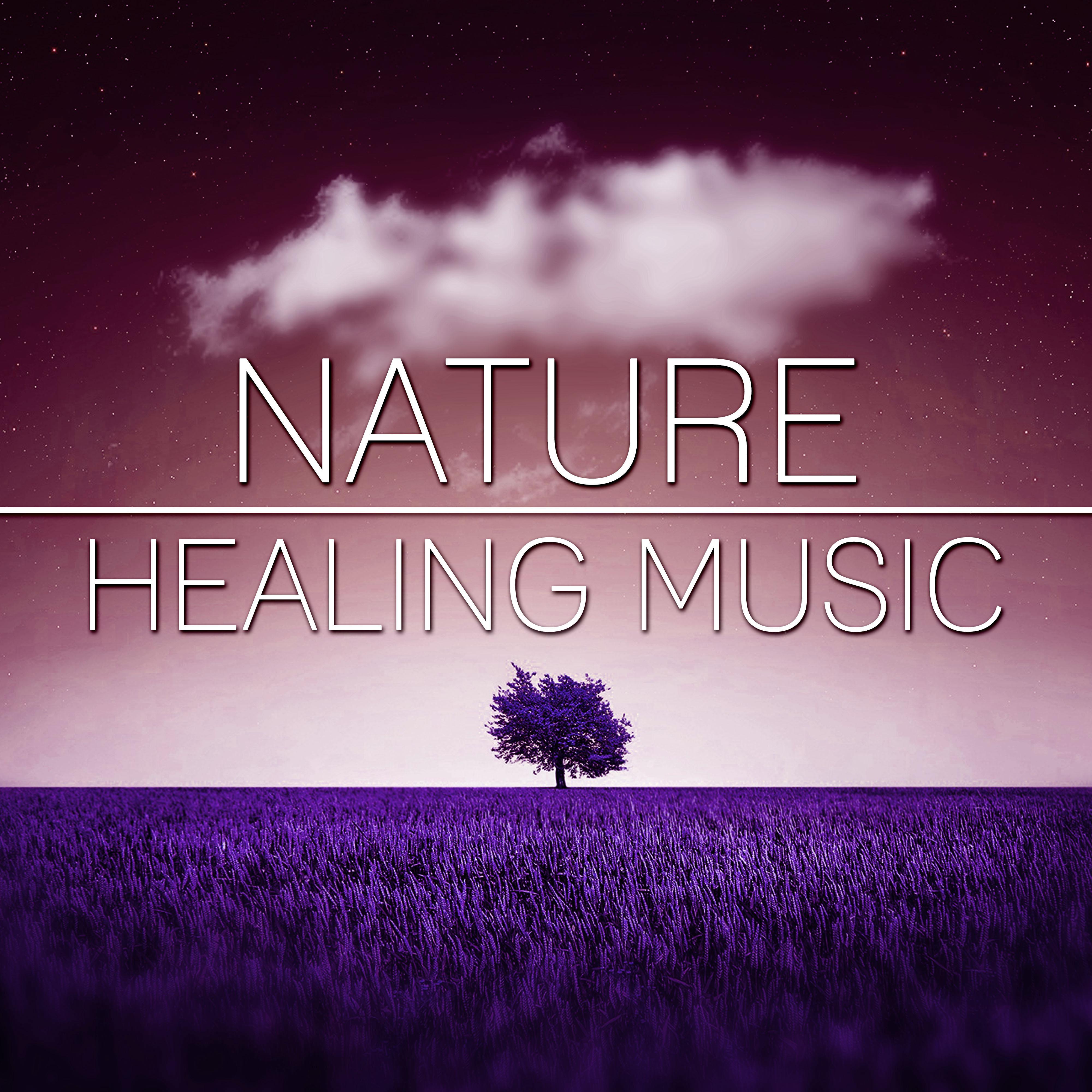 Nature Healing Music - Spa Wellness, Regeneration, Body Therapy, Nature Sounds of Silence, Relaxation Meditation, Yoga