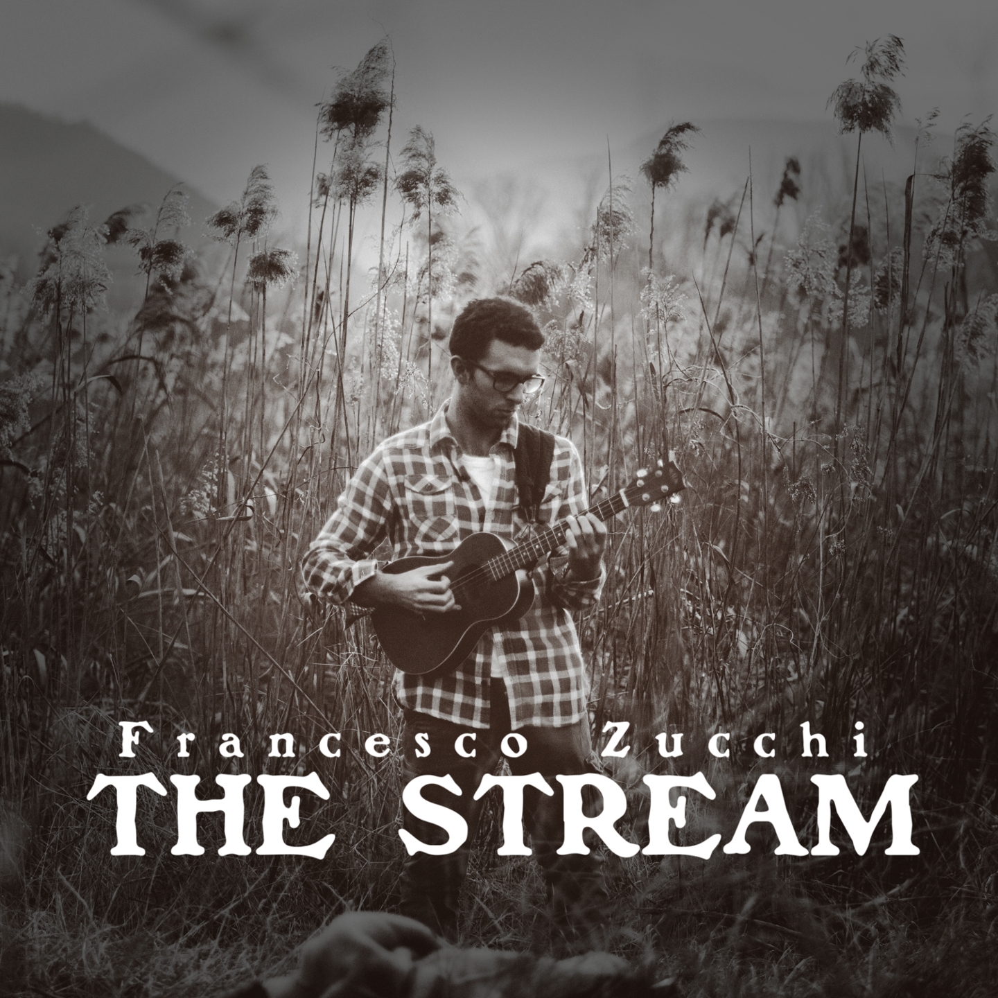 The Stream (Remix)