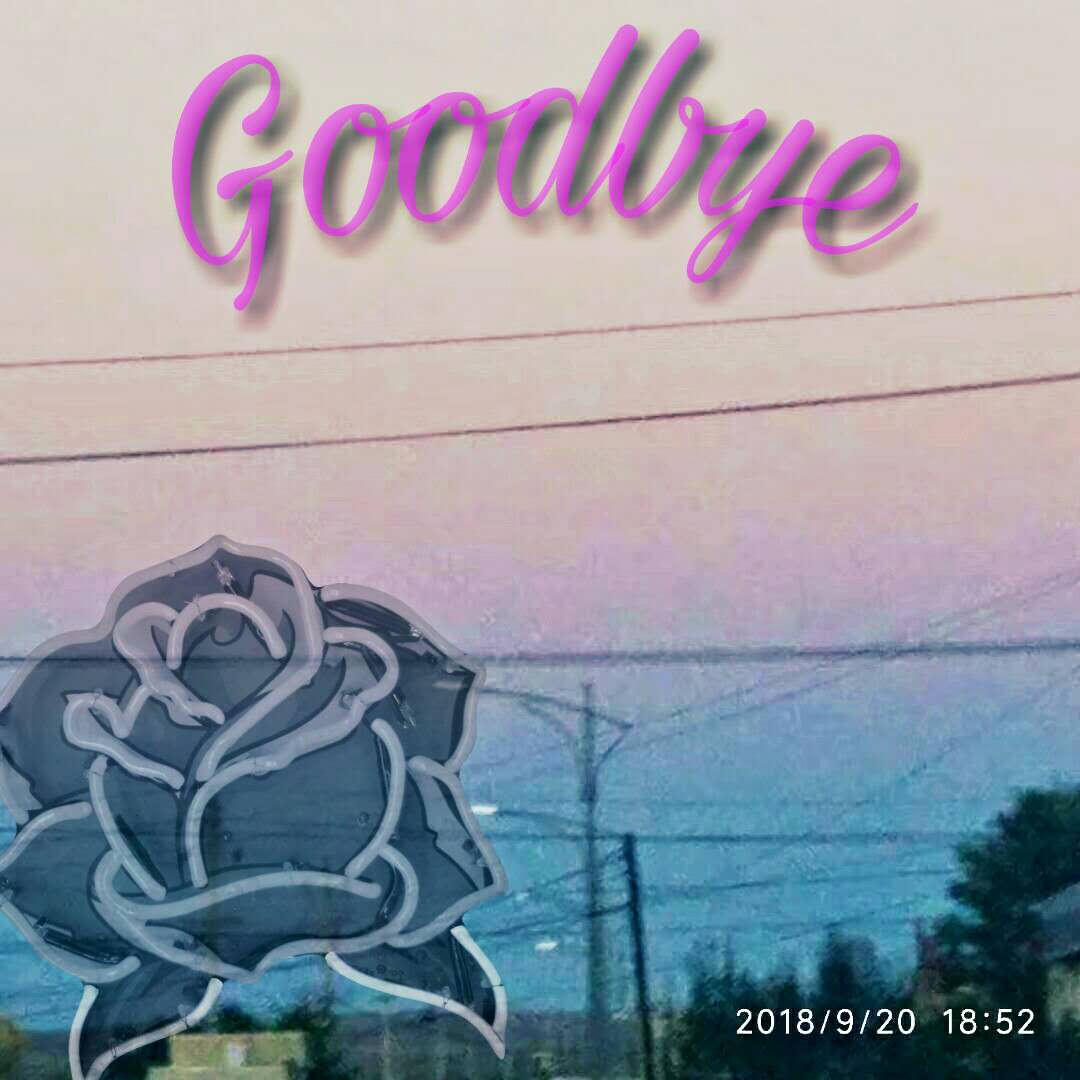 Goodbye