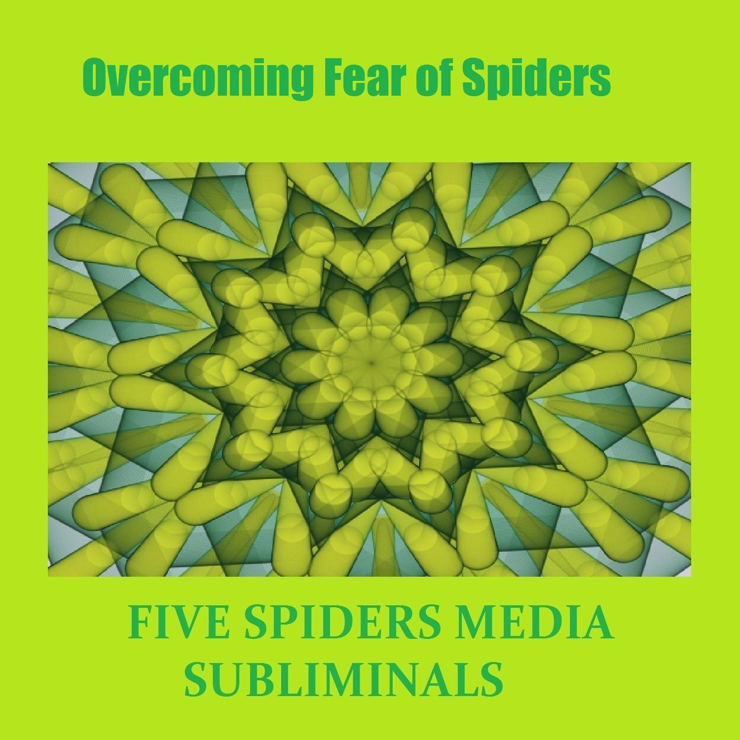 Overcoming Fear of Spiders