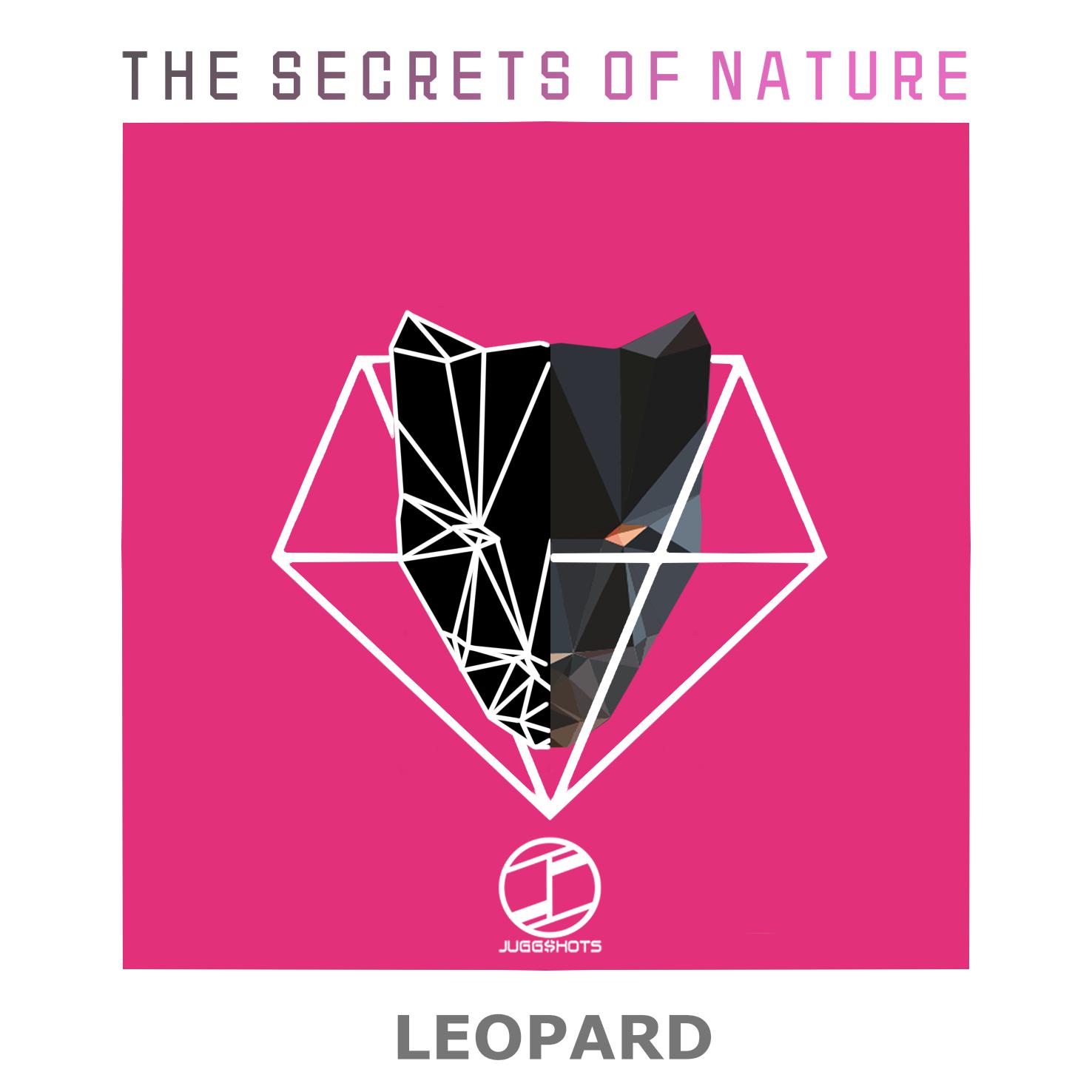 Leopard(Original Mix)