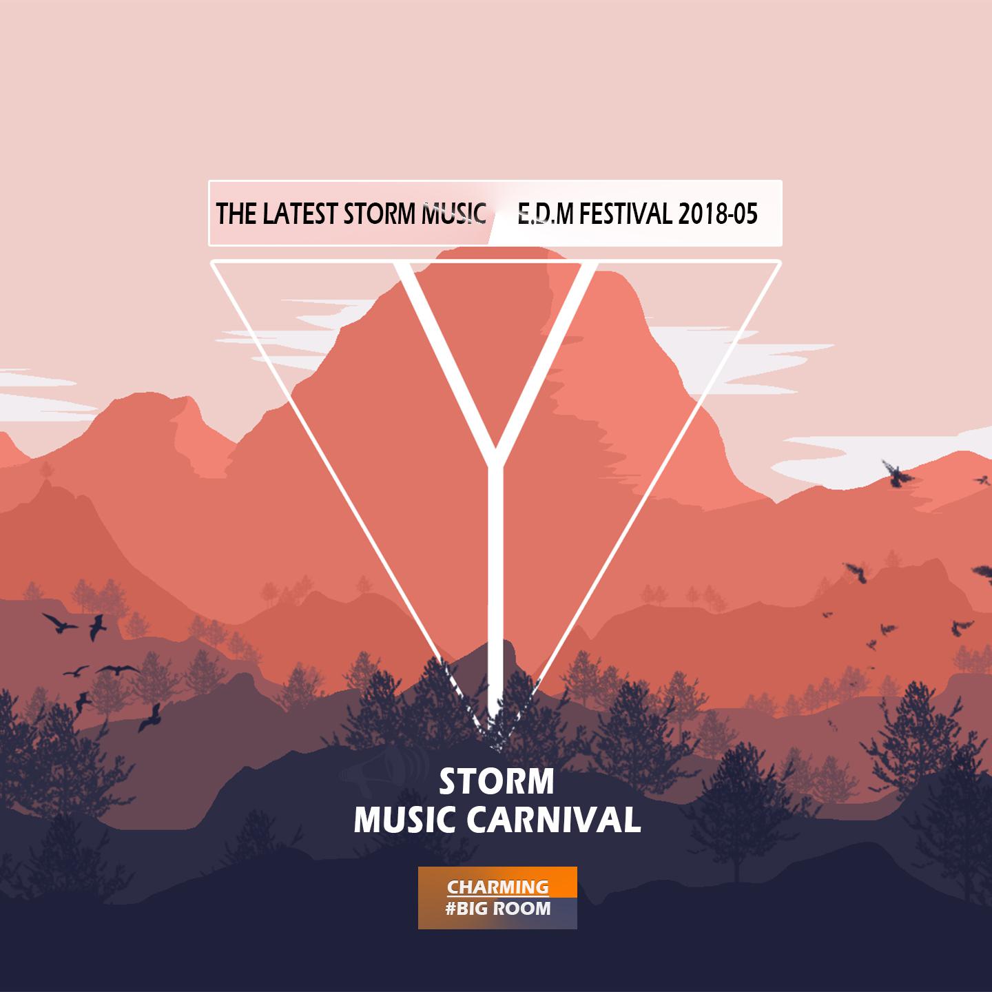 Storm Music Carnival