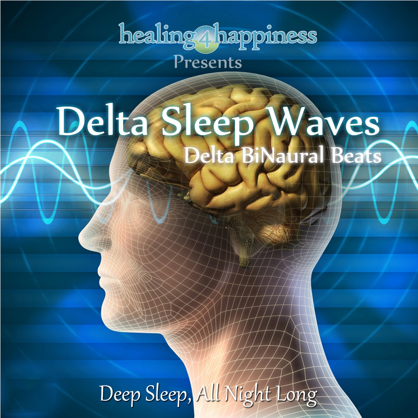 Delta Sleep Waves