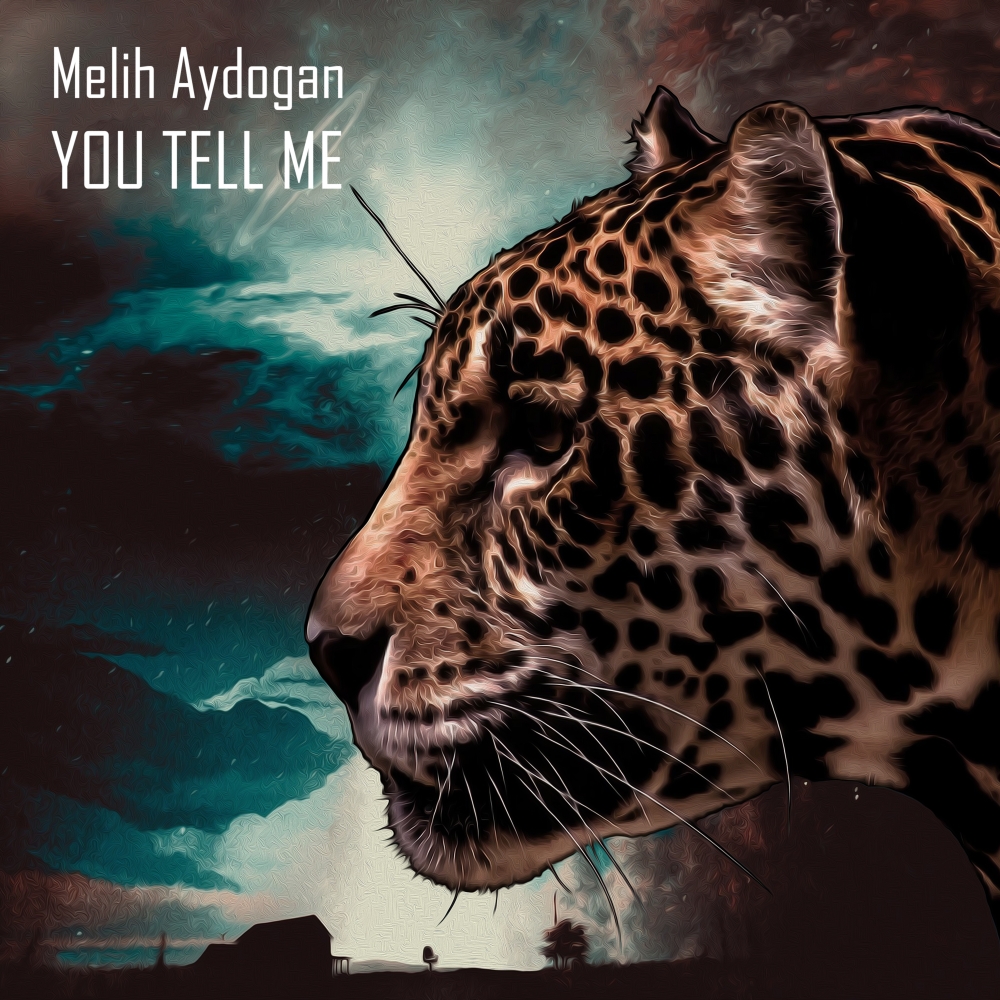 You Tell Me (Original Mix)