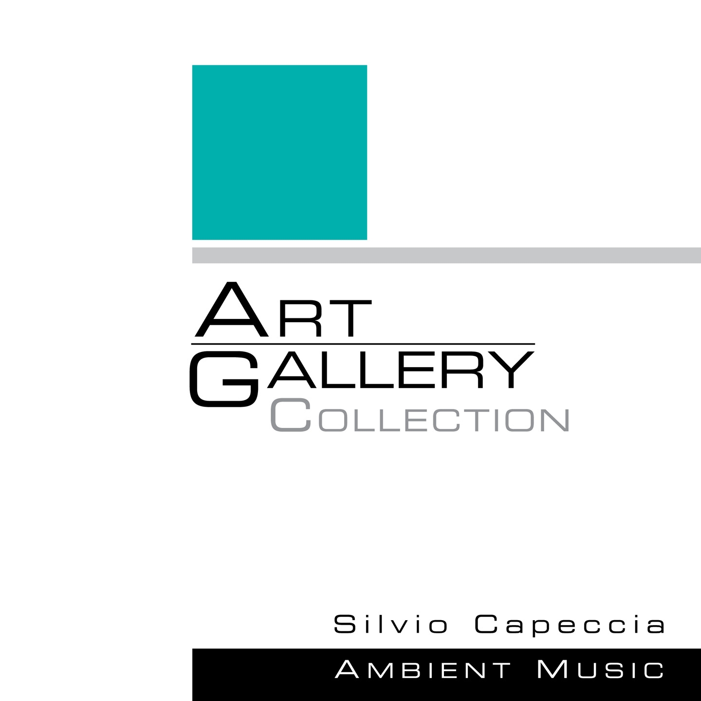 Art Gallery Collection