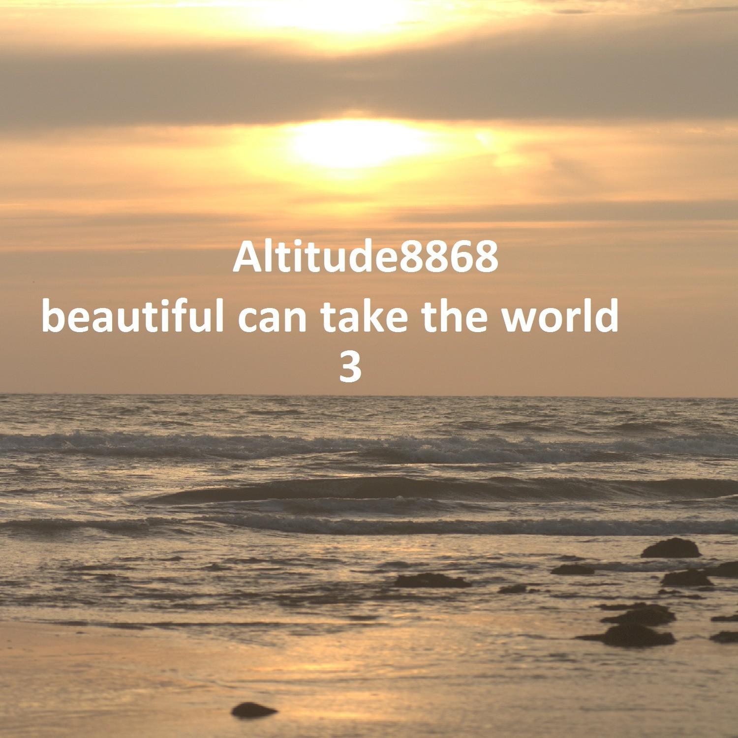 Beautiful Can Take the World 3