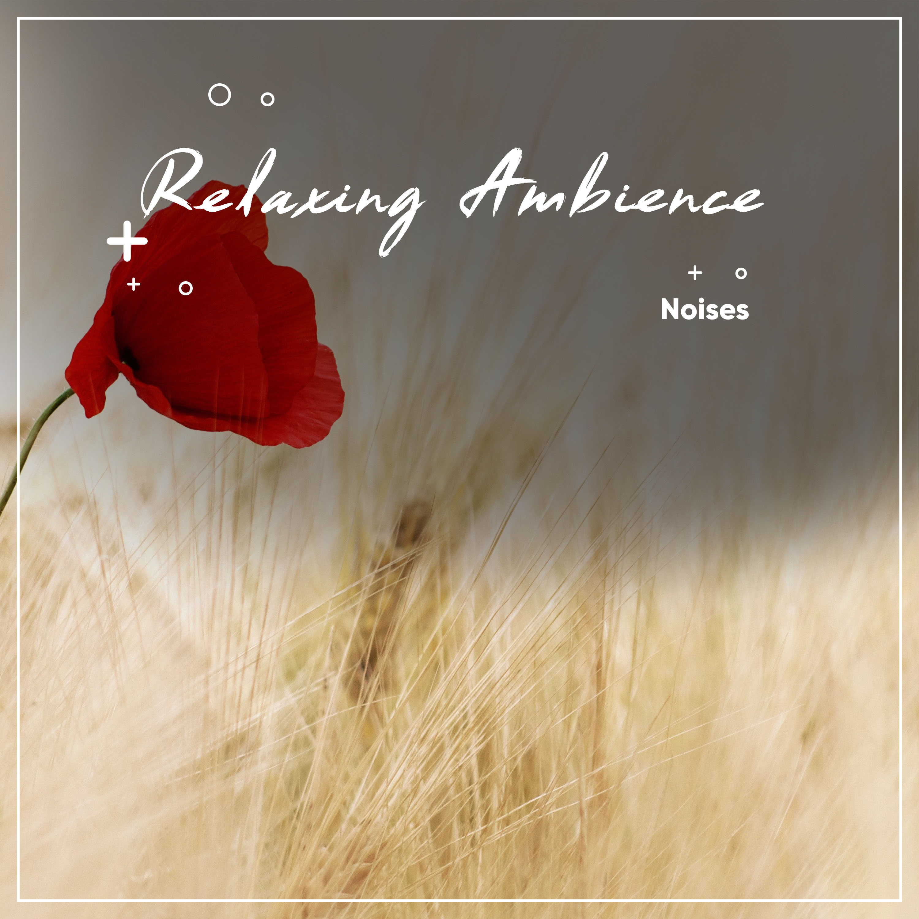 #20 Relaxing Ambience Noises