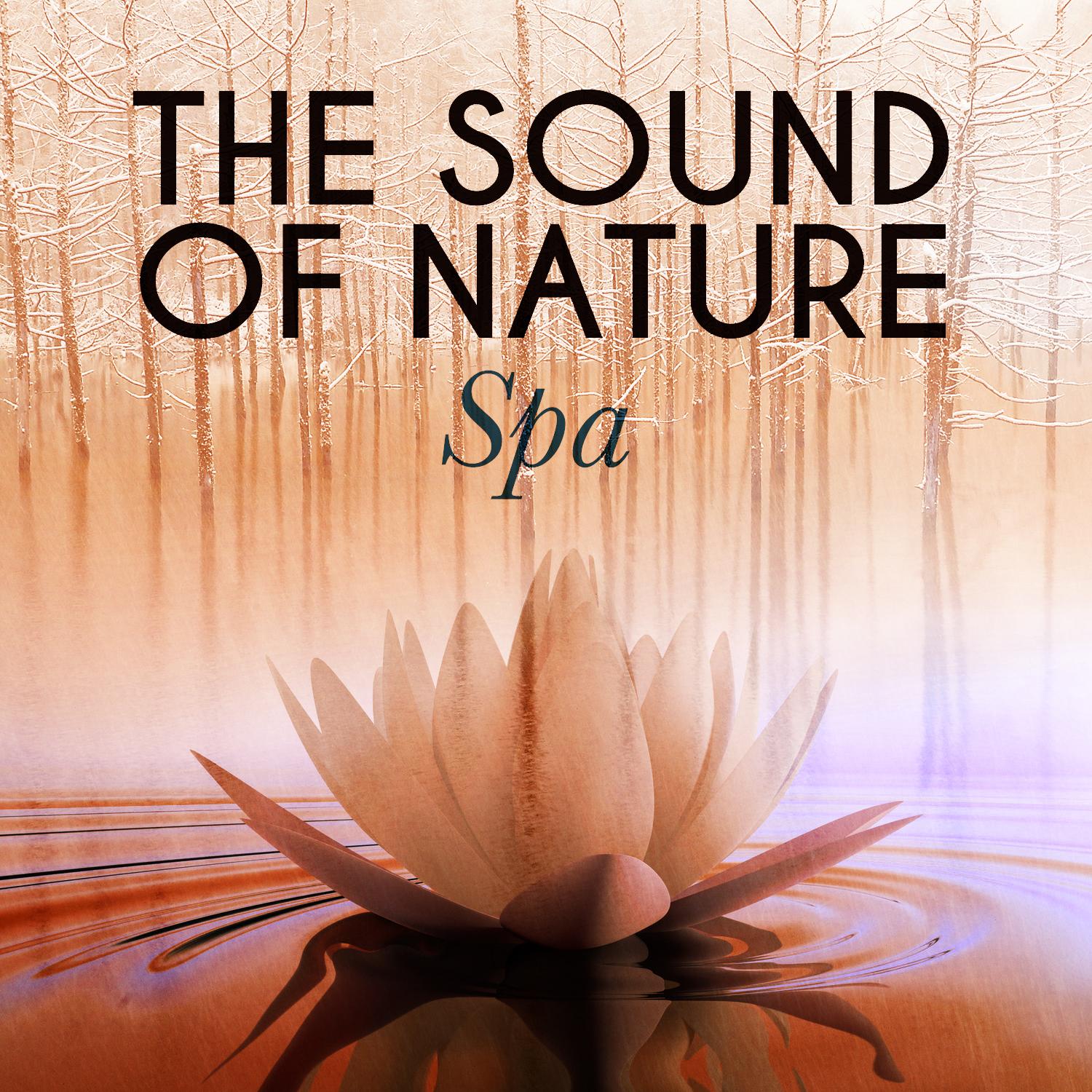 The Sound of Nature: Spa
