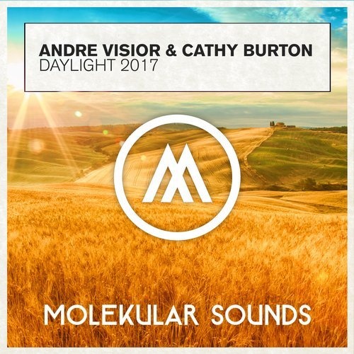 Daylight (Andre Visior 2017 Remix) 