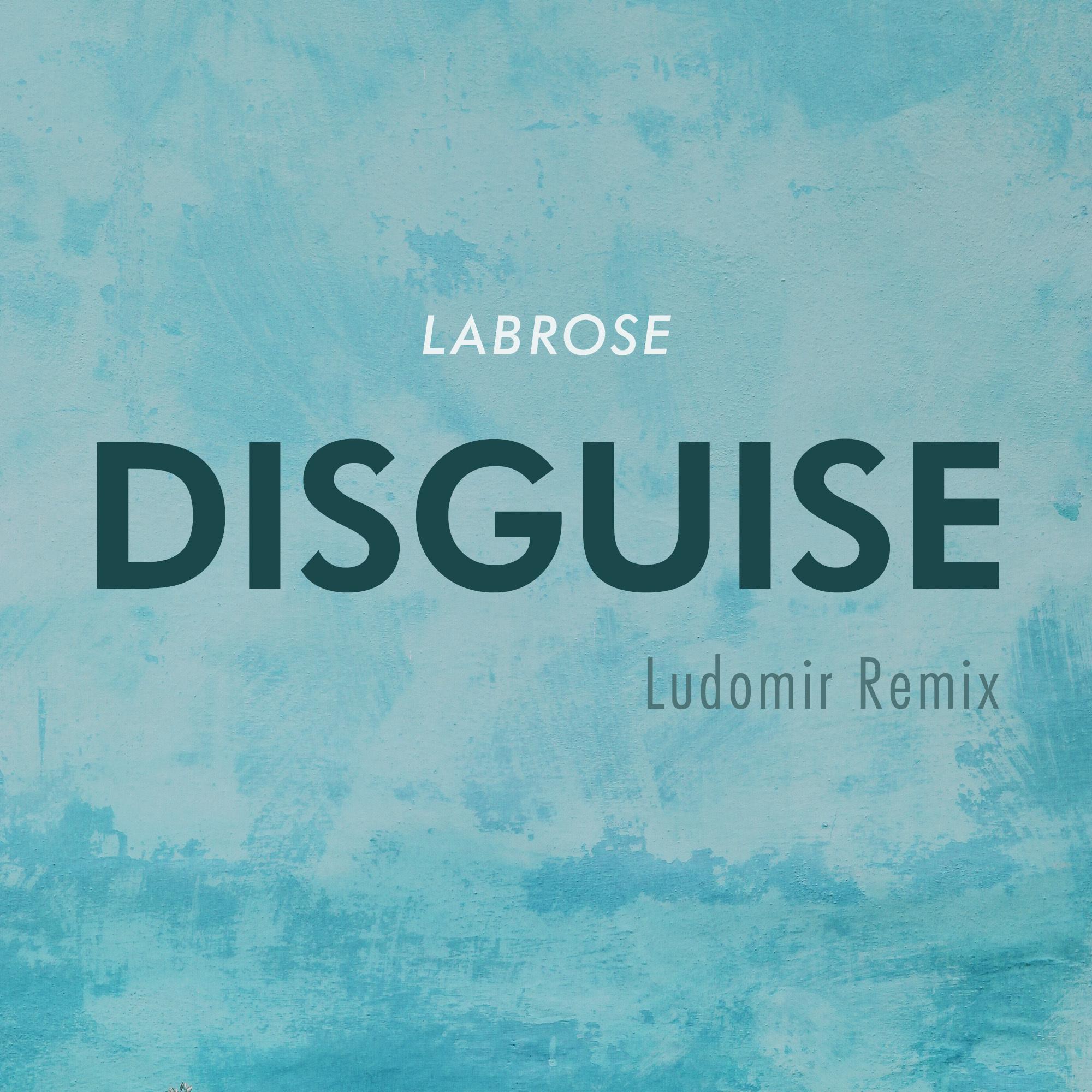 Disguise (Ludomir Remix)