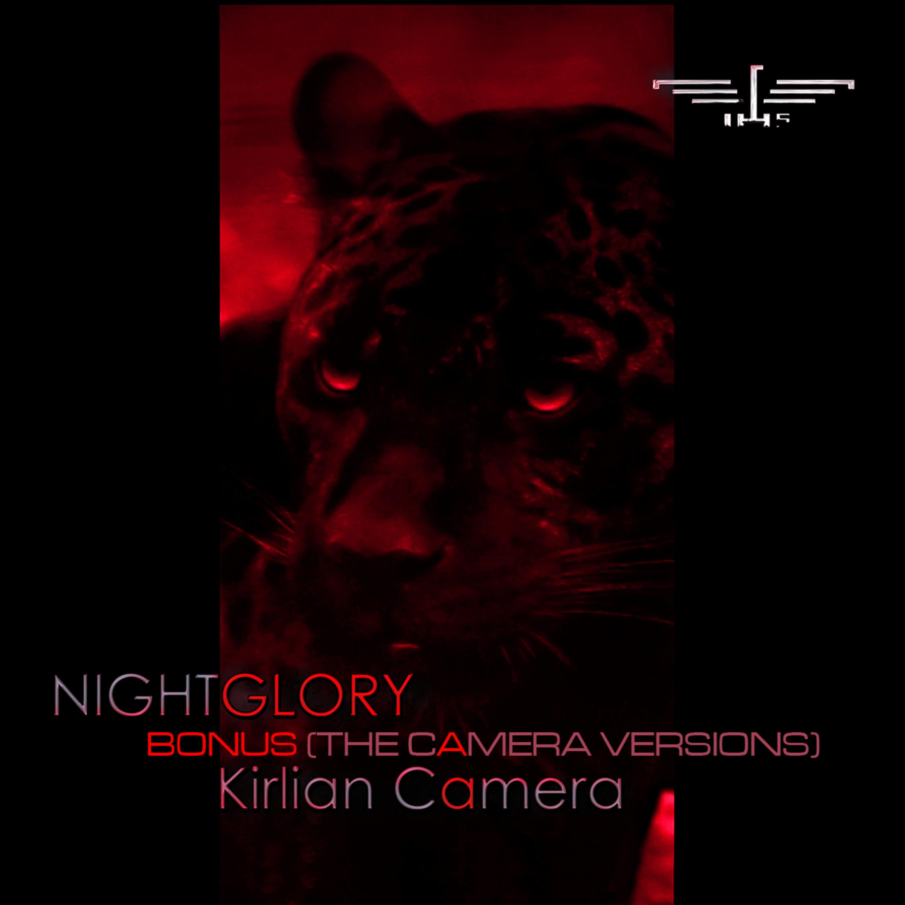 Nightglory Bonus (The Camera Versions)