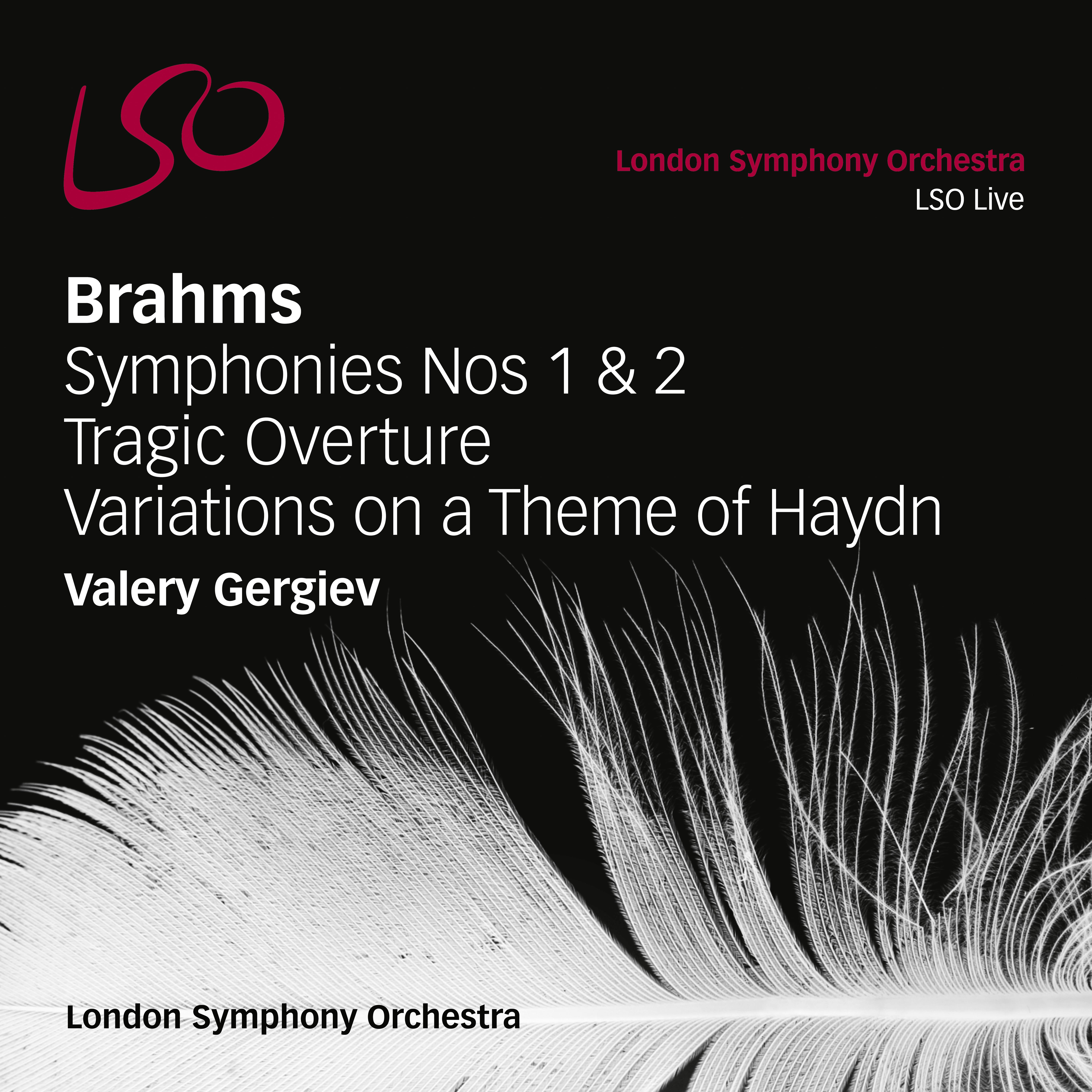 Variations on a Theme of Haydn, Op. 56a: III. Variation II, Più vivace