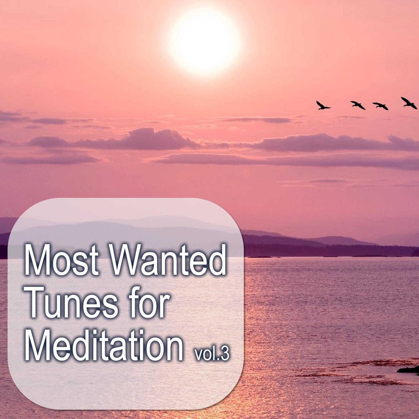 Most Wanted Tunes for Meditation, Vol. 3